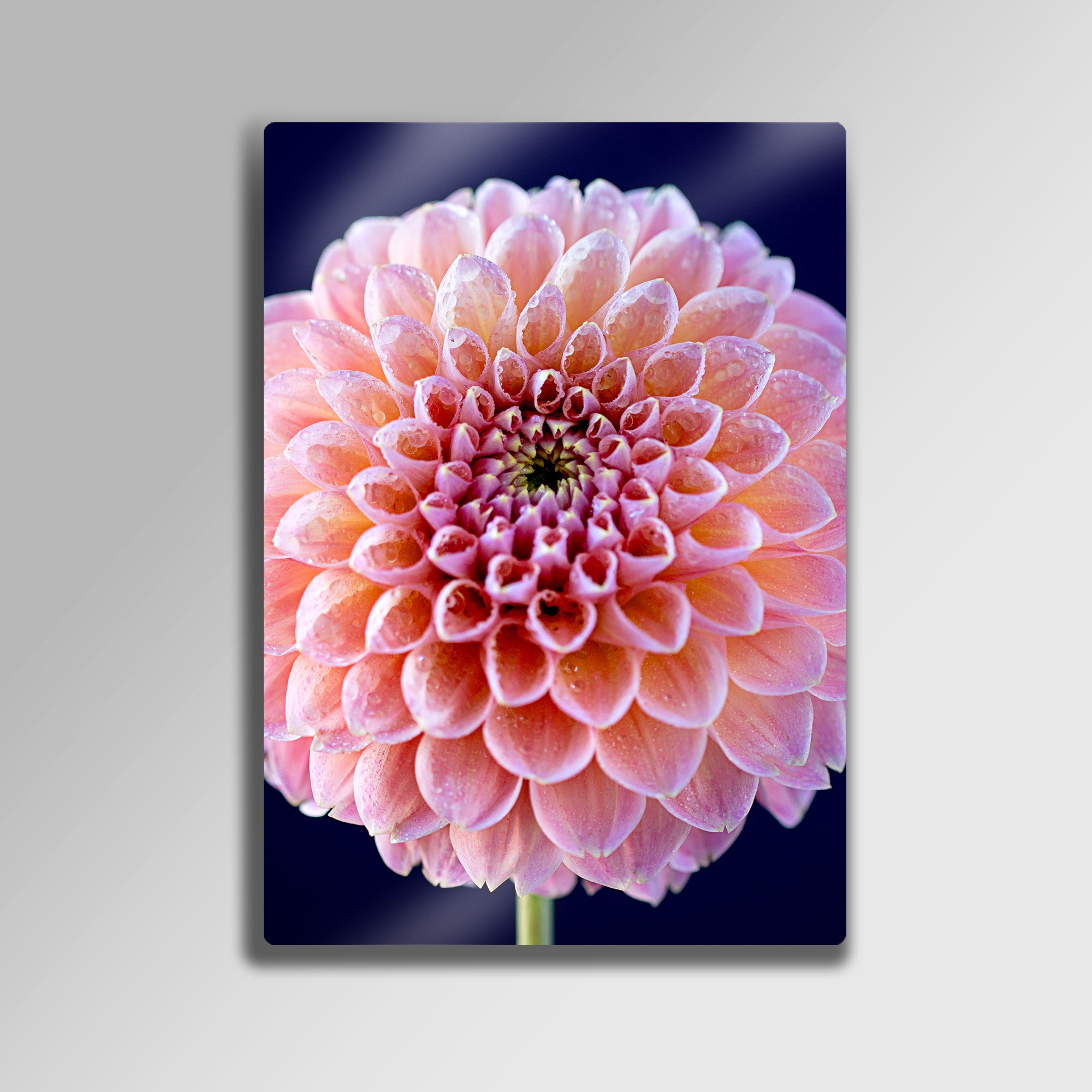 3D Pembe Çiçek Desenli - Metal Tablo