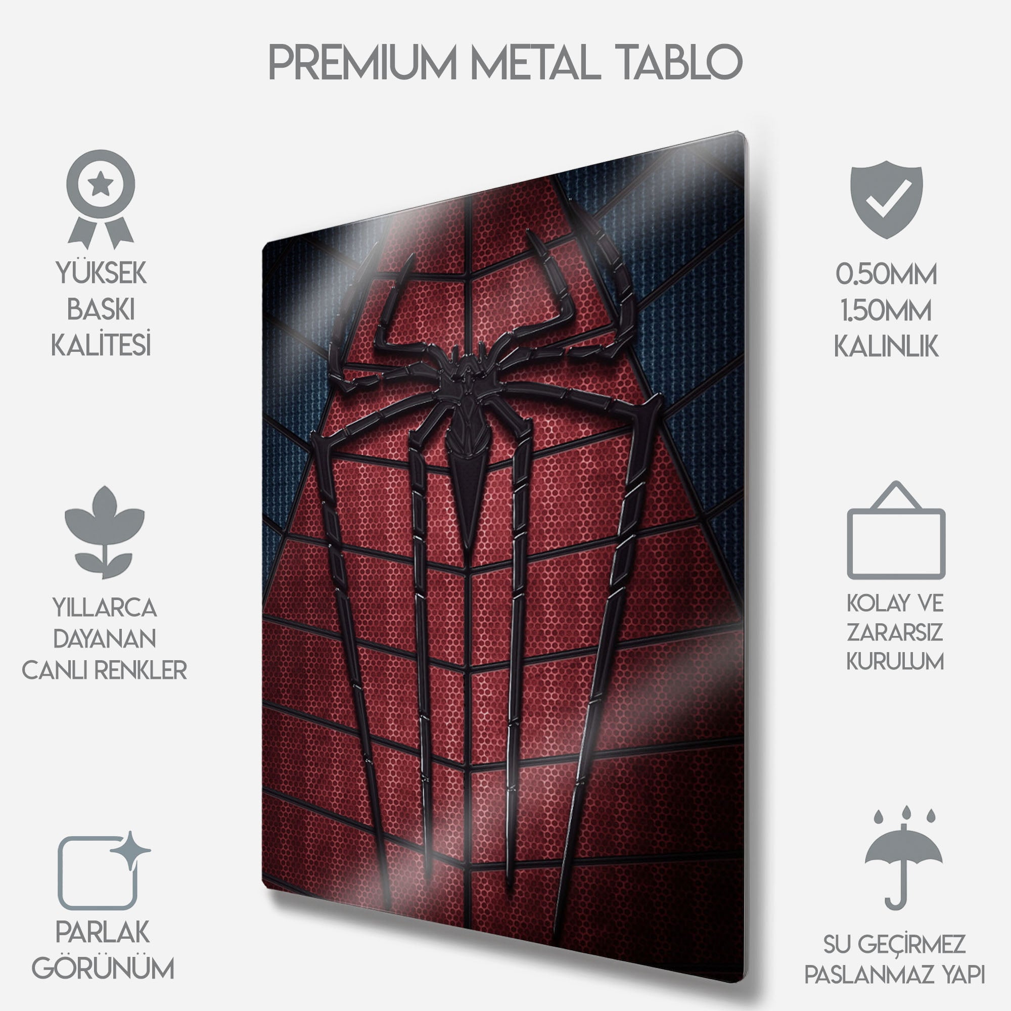 The Amazing Spider-Man Logo - Metal Tablo