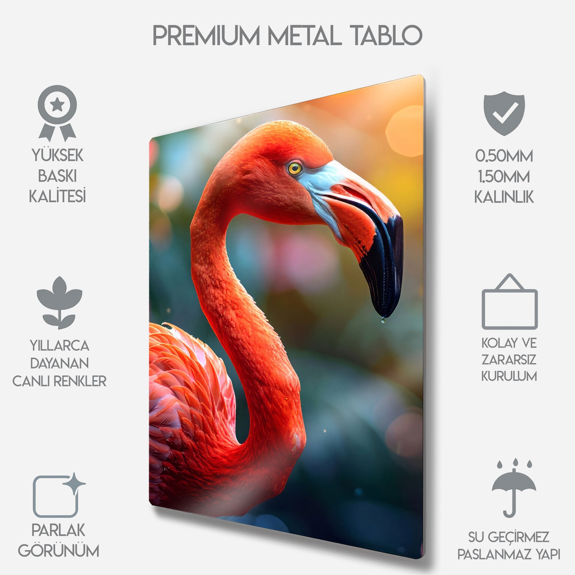 Flamingo, Tropikal Modern Duvar Dekoru, Renkli Sanat Poster - Metal Tablo