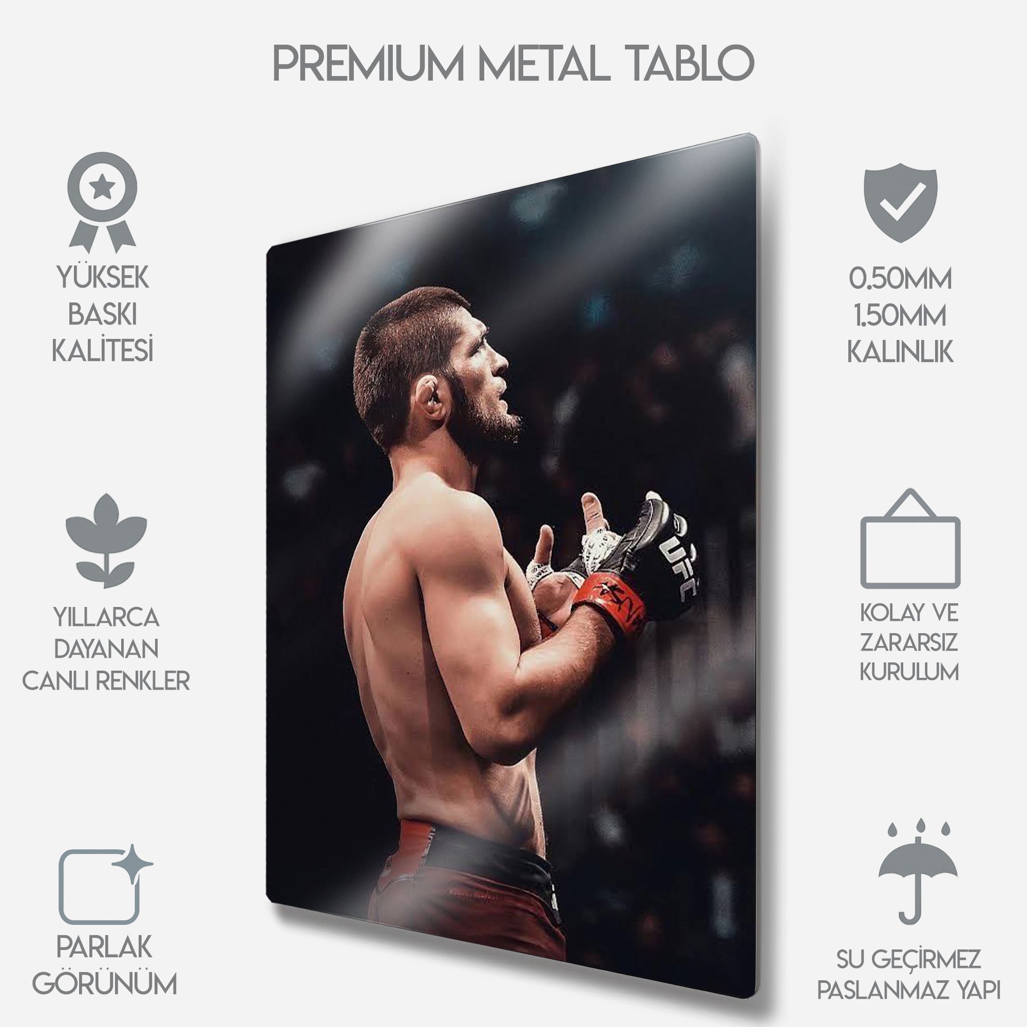 UFC Khabib Nurmagomedov MMA - Metal Tablo