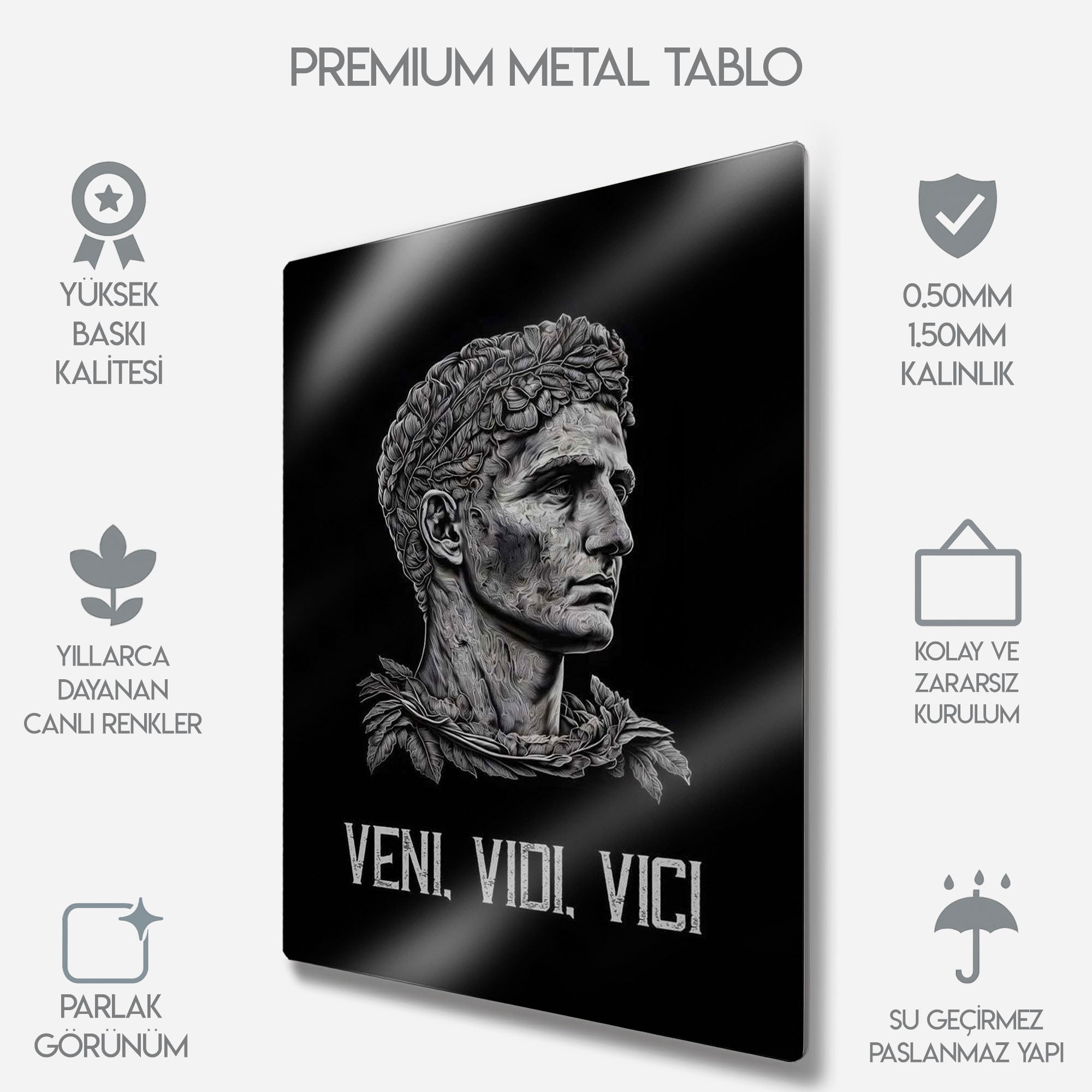 Jül Sezar "Veni Vidi Vici" - Metal Tablo