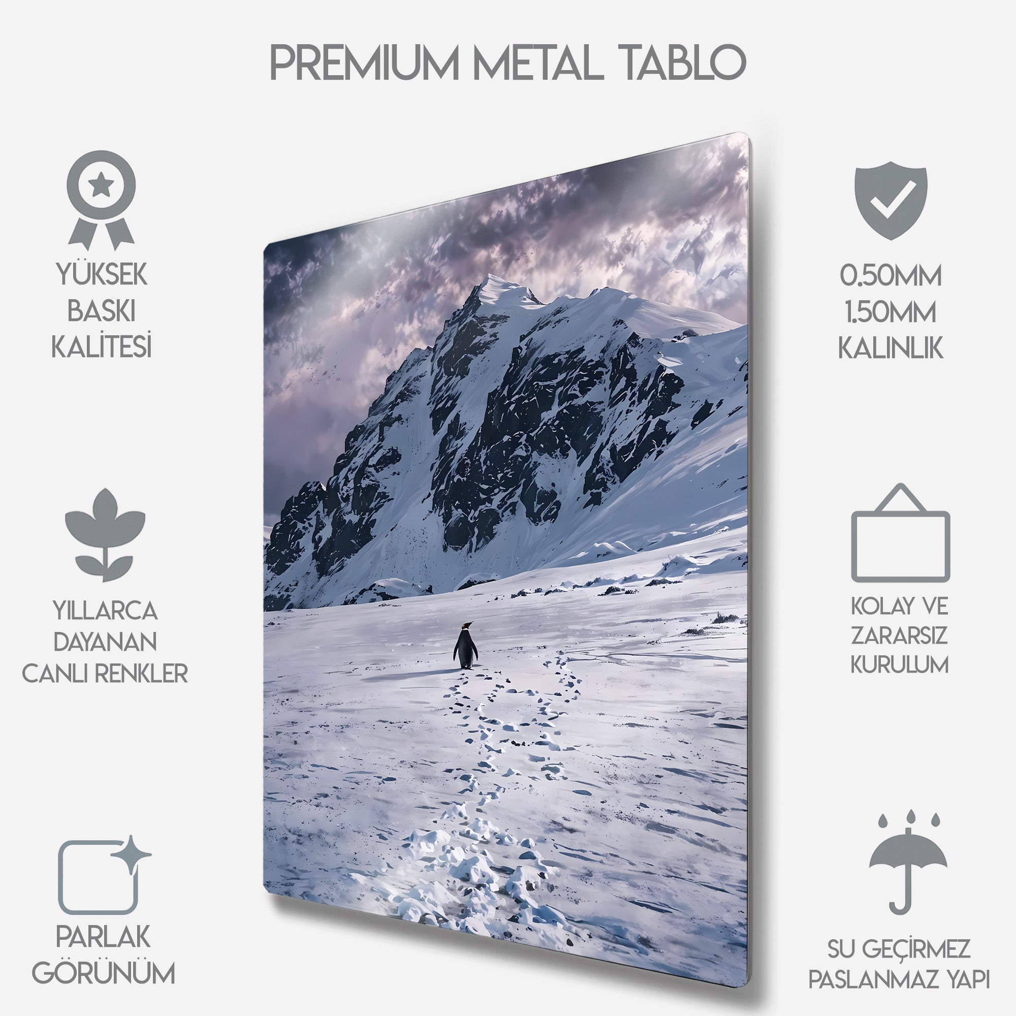 But Why, Nihilist Penguen, Penguin Motivasyon - Metal Tablo