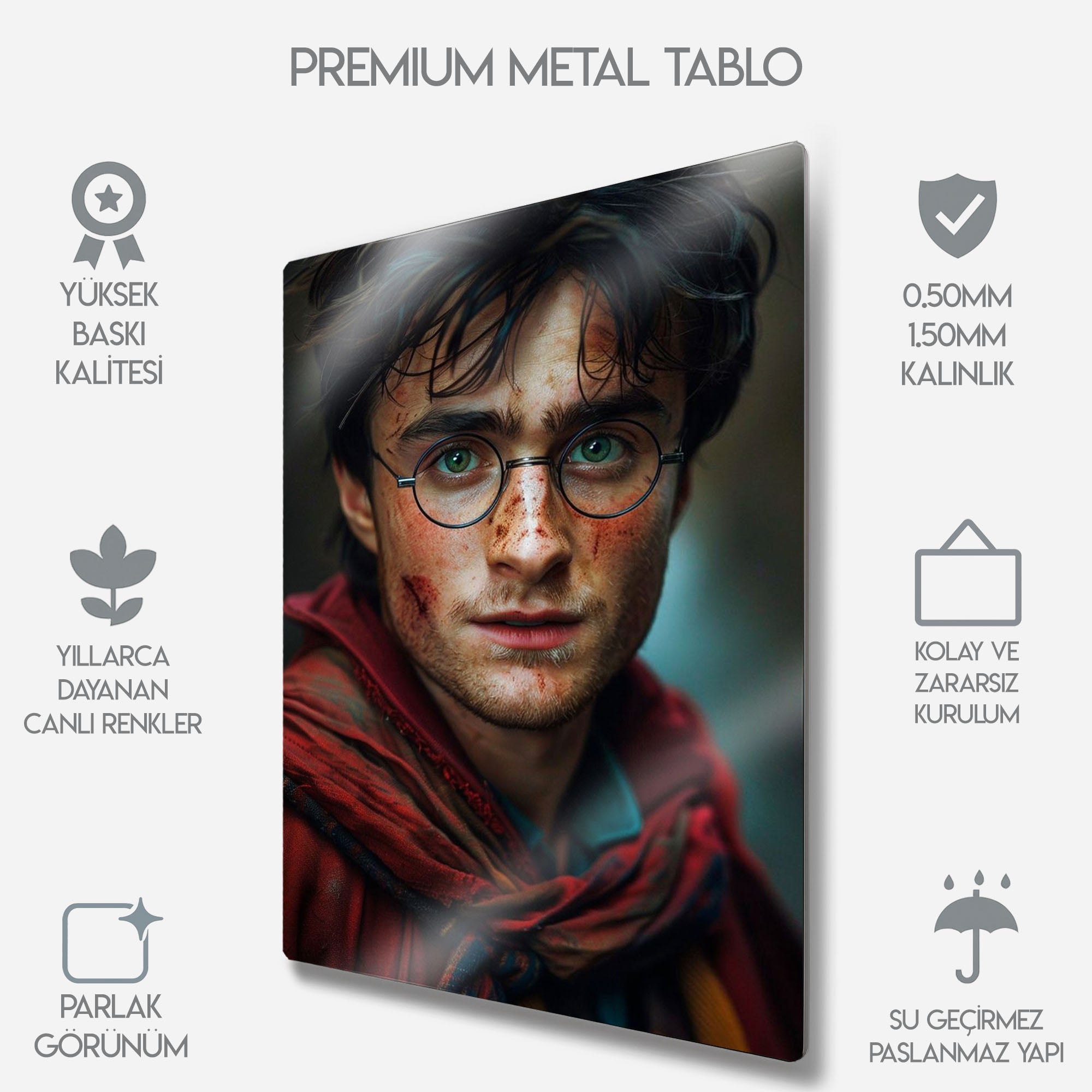 Harry Potter Büyü Dünyası - Metal Tablo