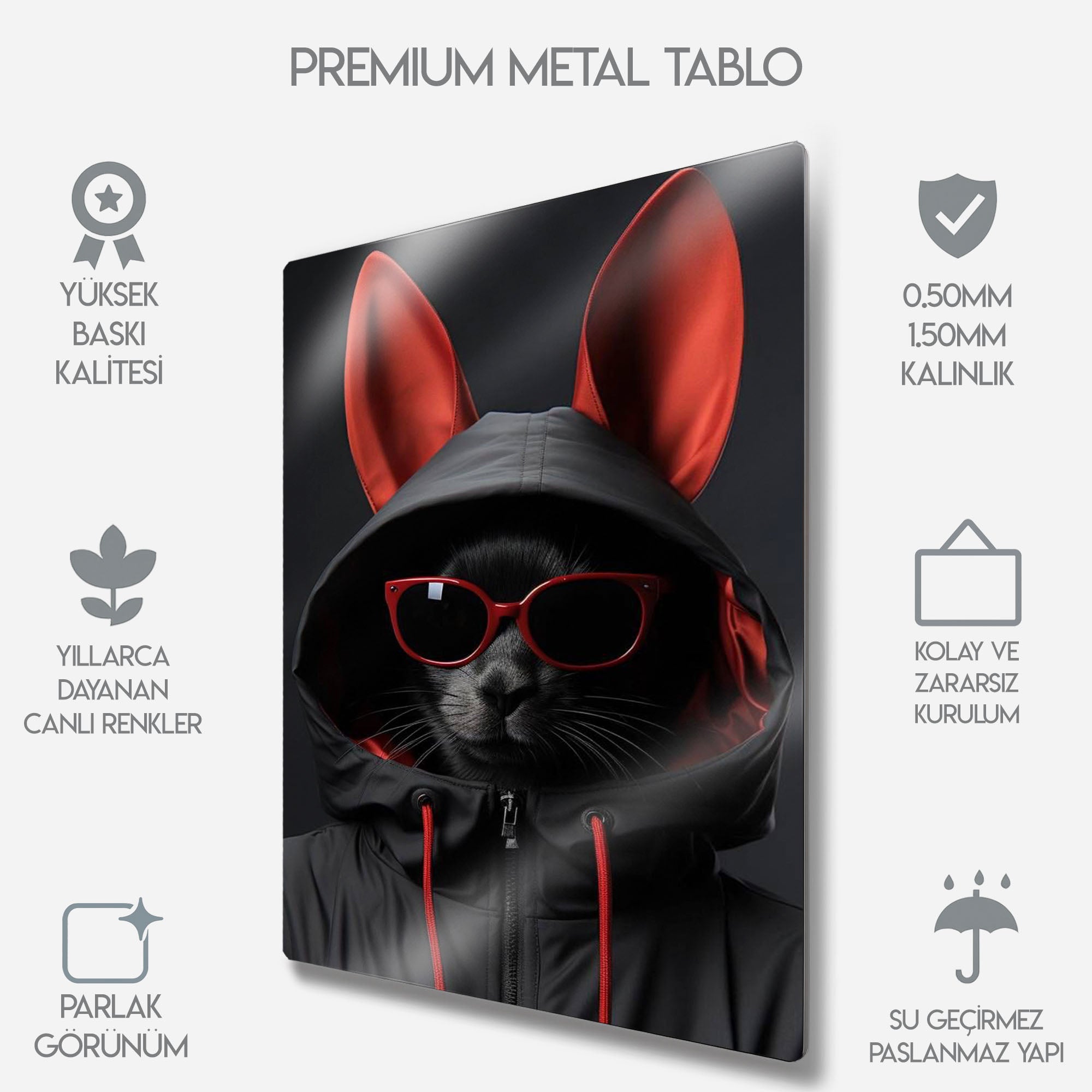 Tavşan Kulaklı Kedi - Metal Tablo
