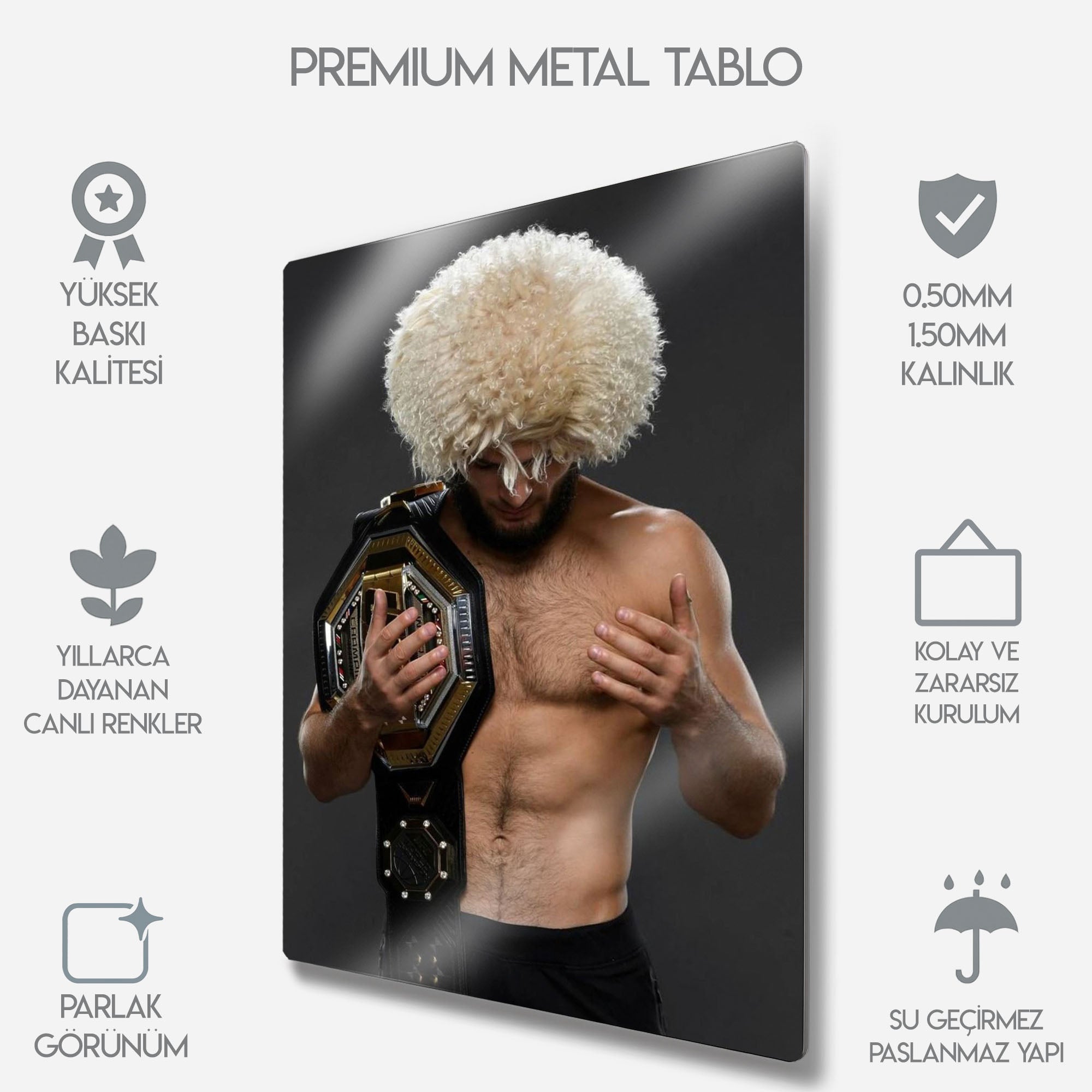 UFC Khabib Nurmagomedov MMA - Metal Tablo