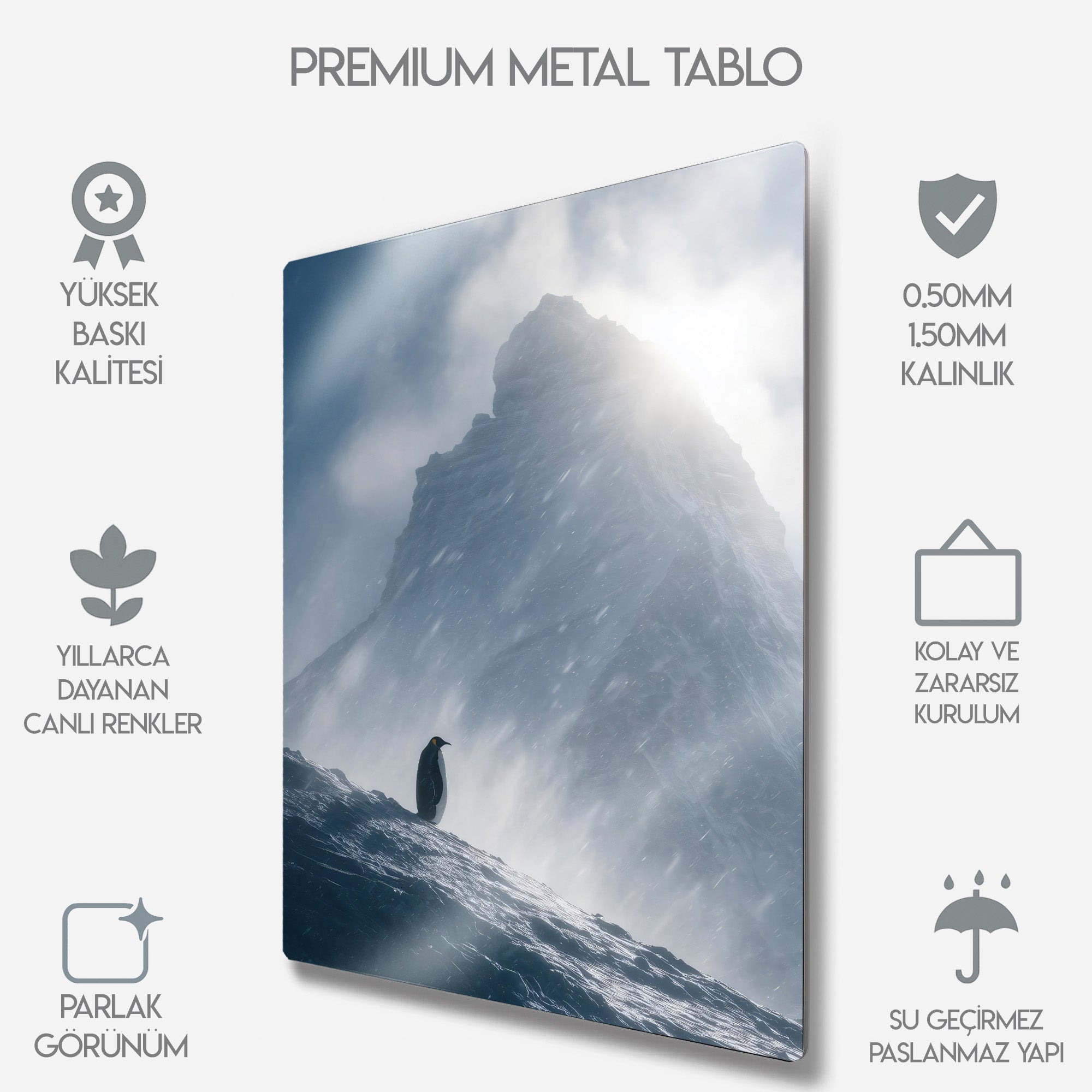 But Why, Nihilist Penguen, Penguin Motivasyon - Metal Tablo