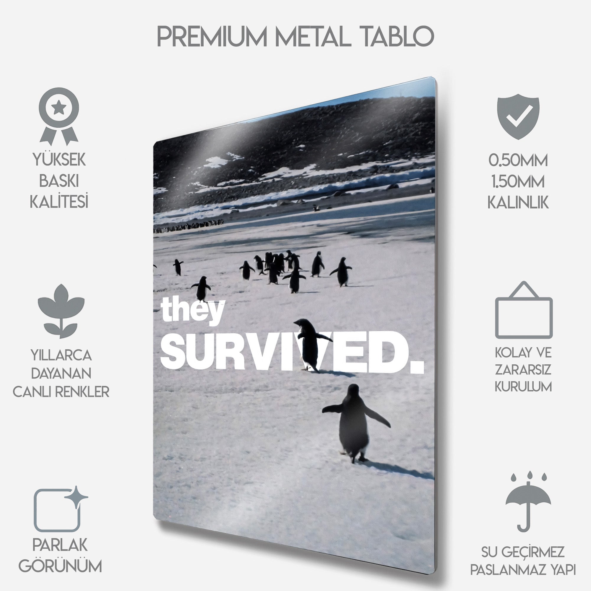 But Why, Nihilist Penguen, Penguin Motivasyon - Metal Tablo