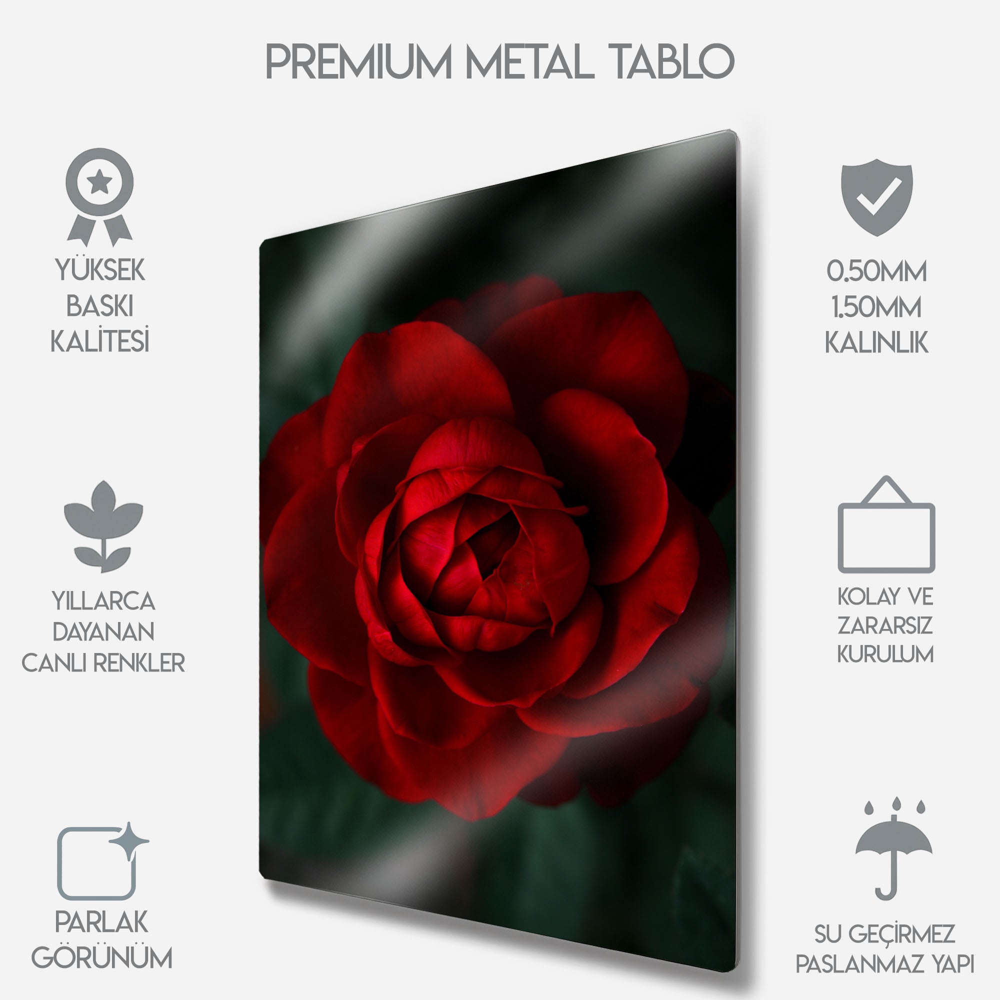 Kadife Kırmızı Gül - Metal Tablo