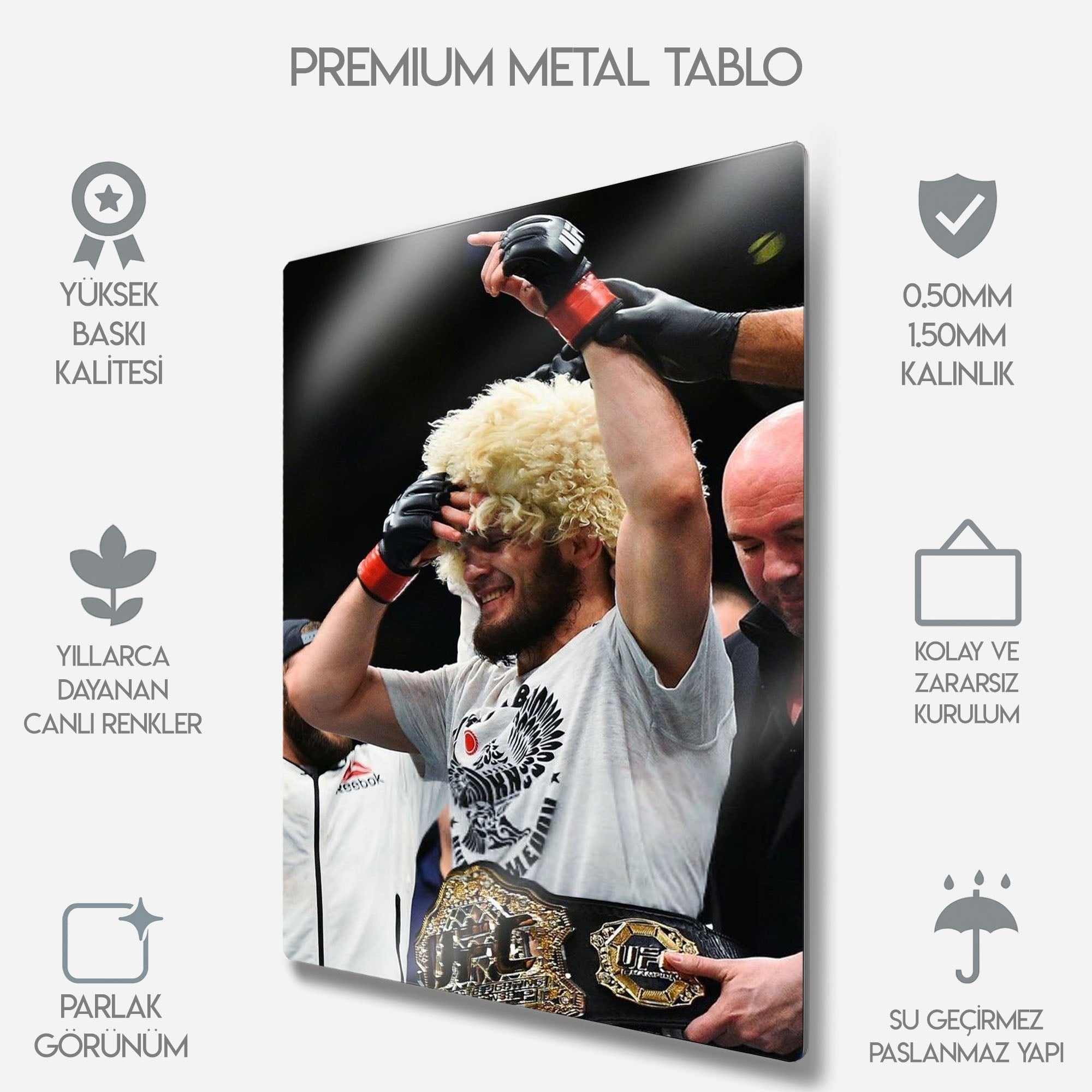 UFC Khabib Nurmagomedov MMA - Metal Tablo