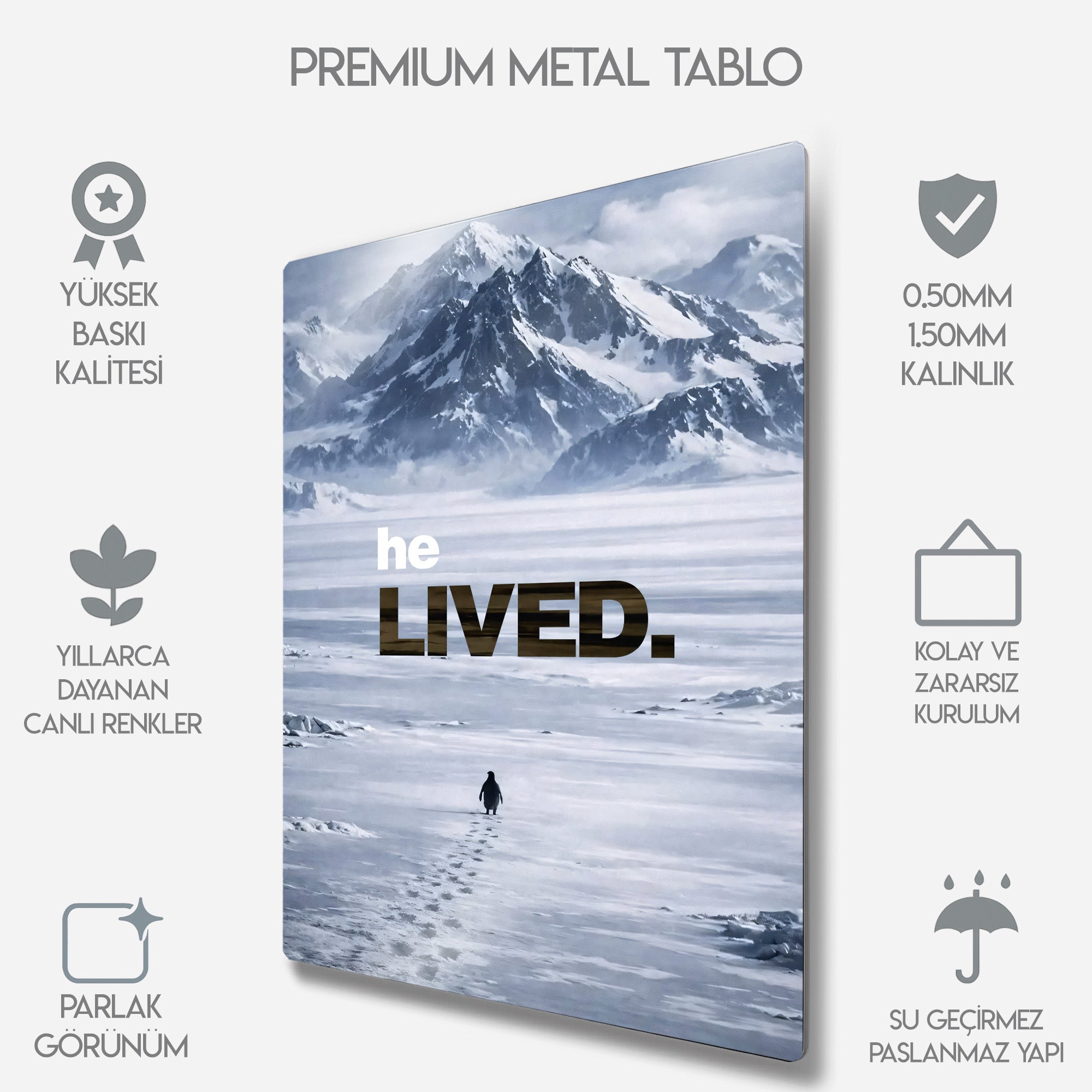 But Why, Nihilist Penguen, Penguin Motivasyon - Metal Tablo