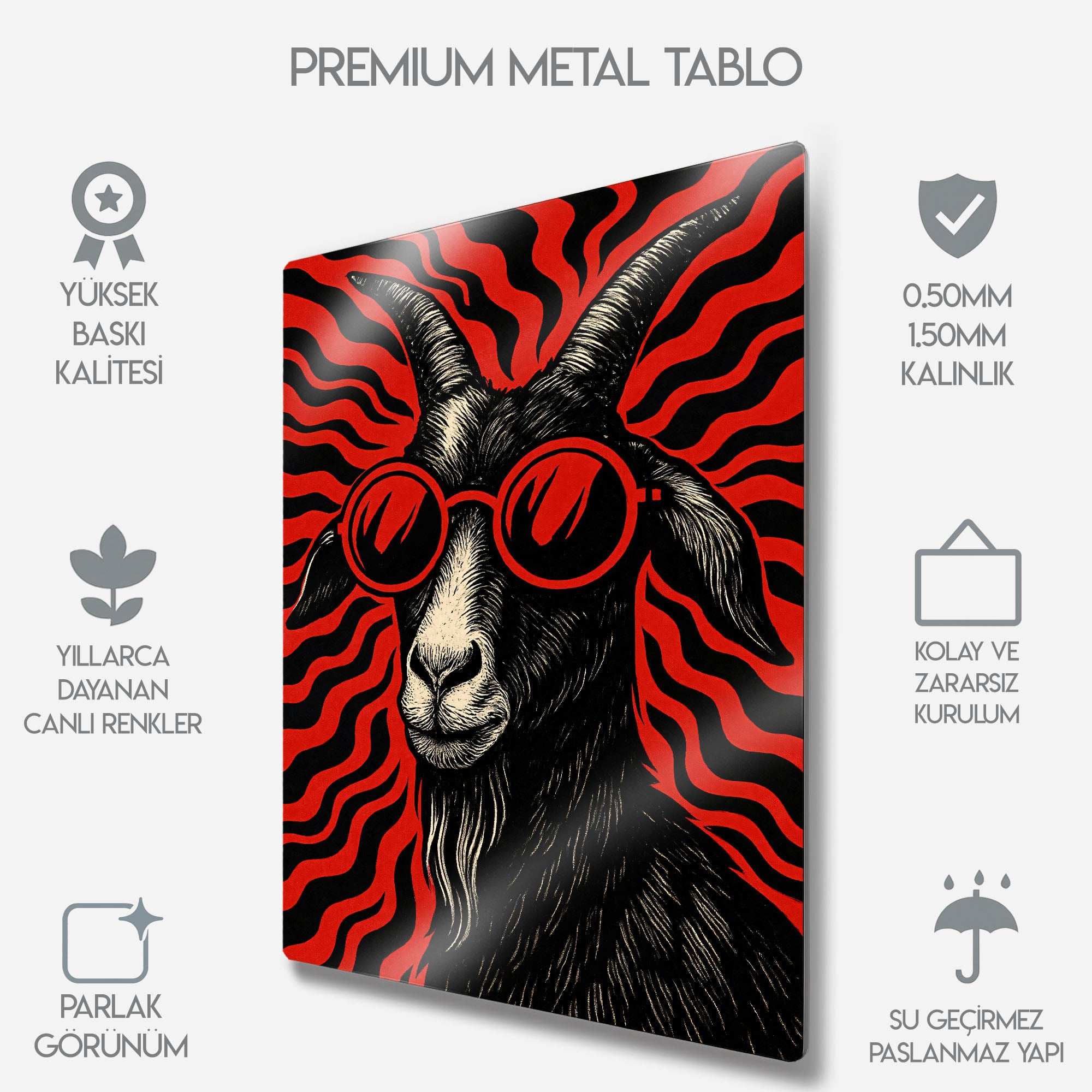 Gözlüklü Keçi - Metal Tablo