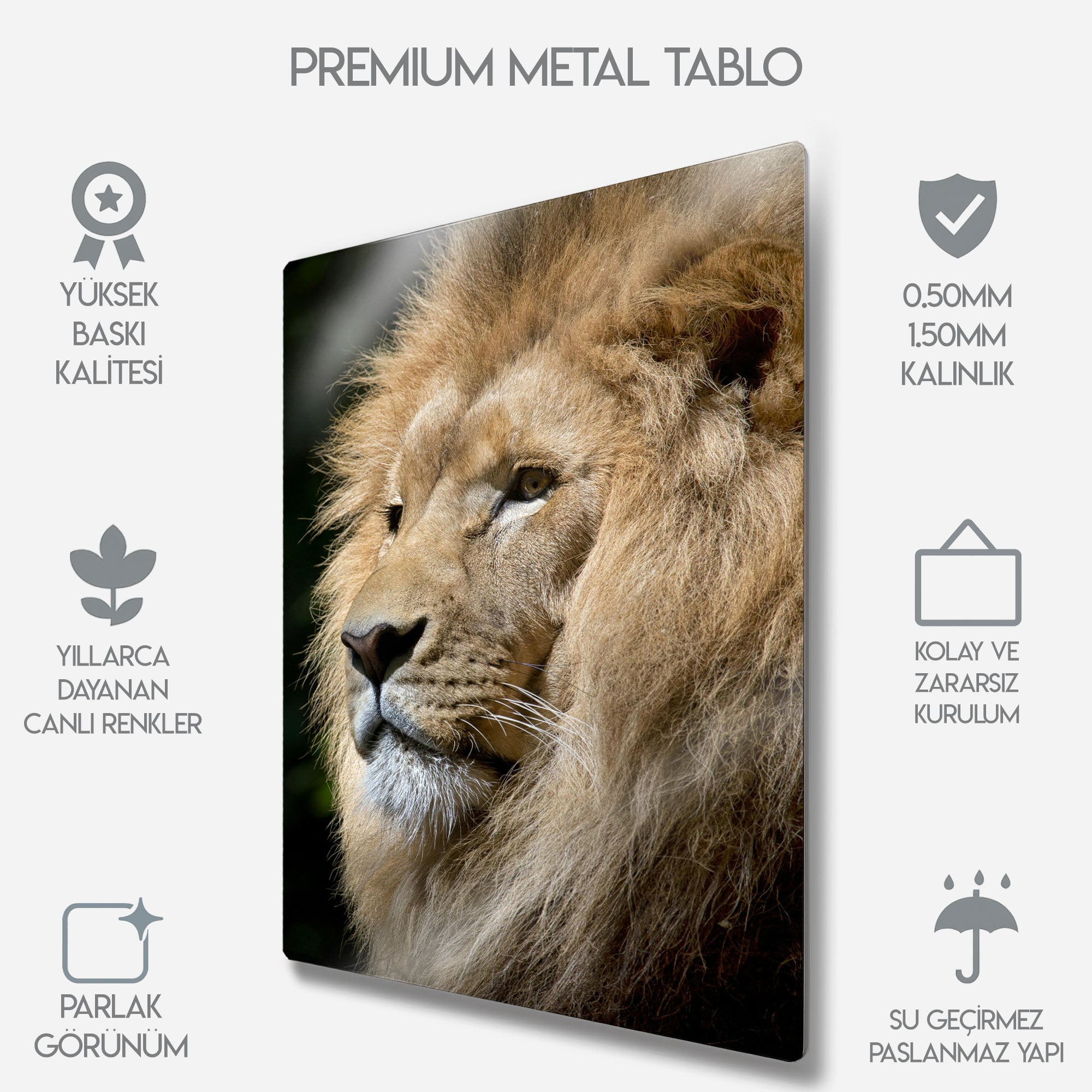 Asil Aslan Portresi - Metal Tablo