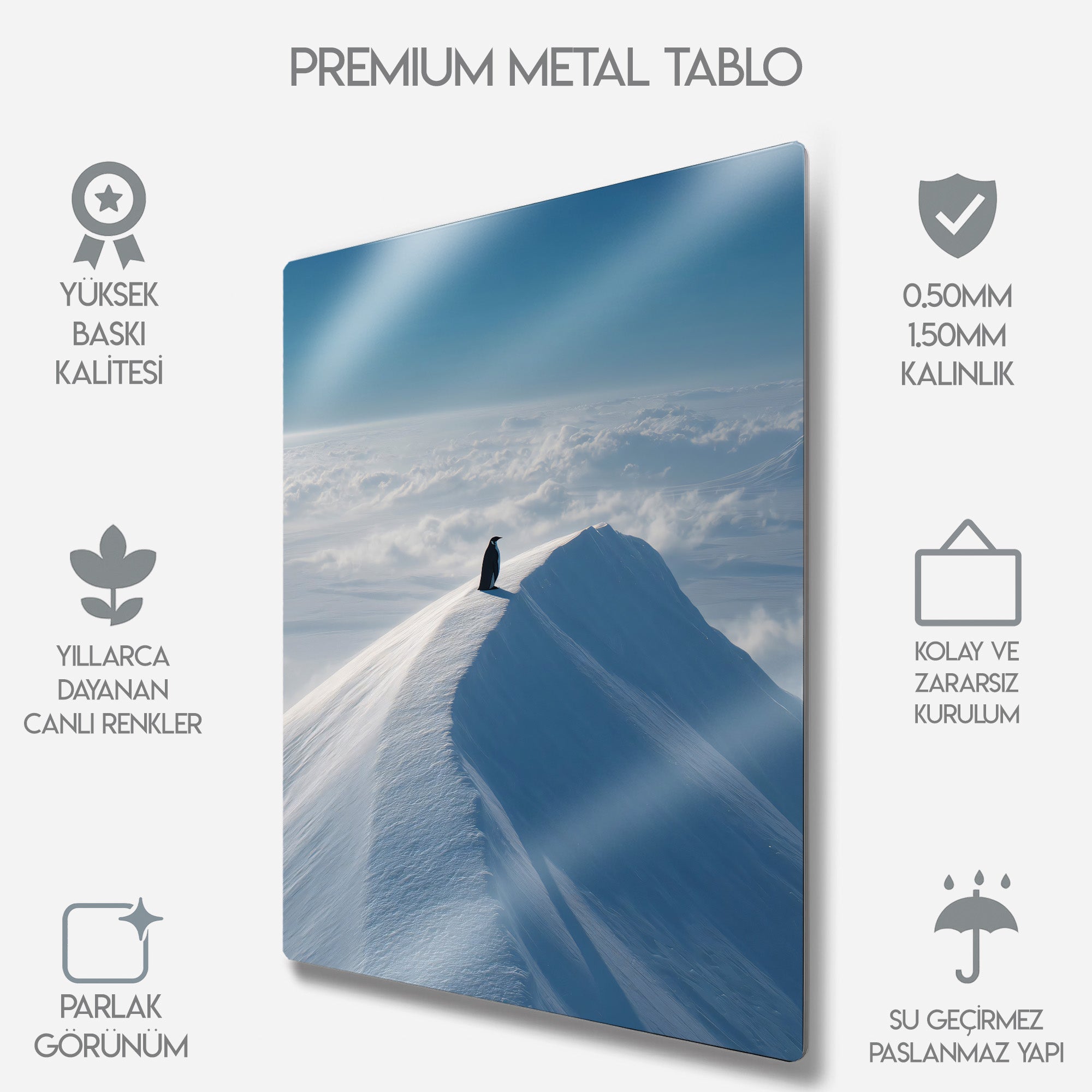 But Why, Nihilist Penguen, Penguin Motivasyon - Metal Tablo