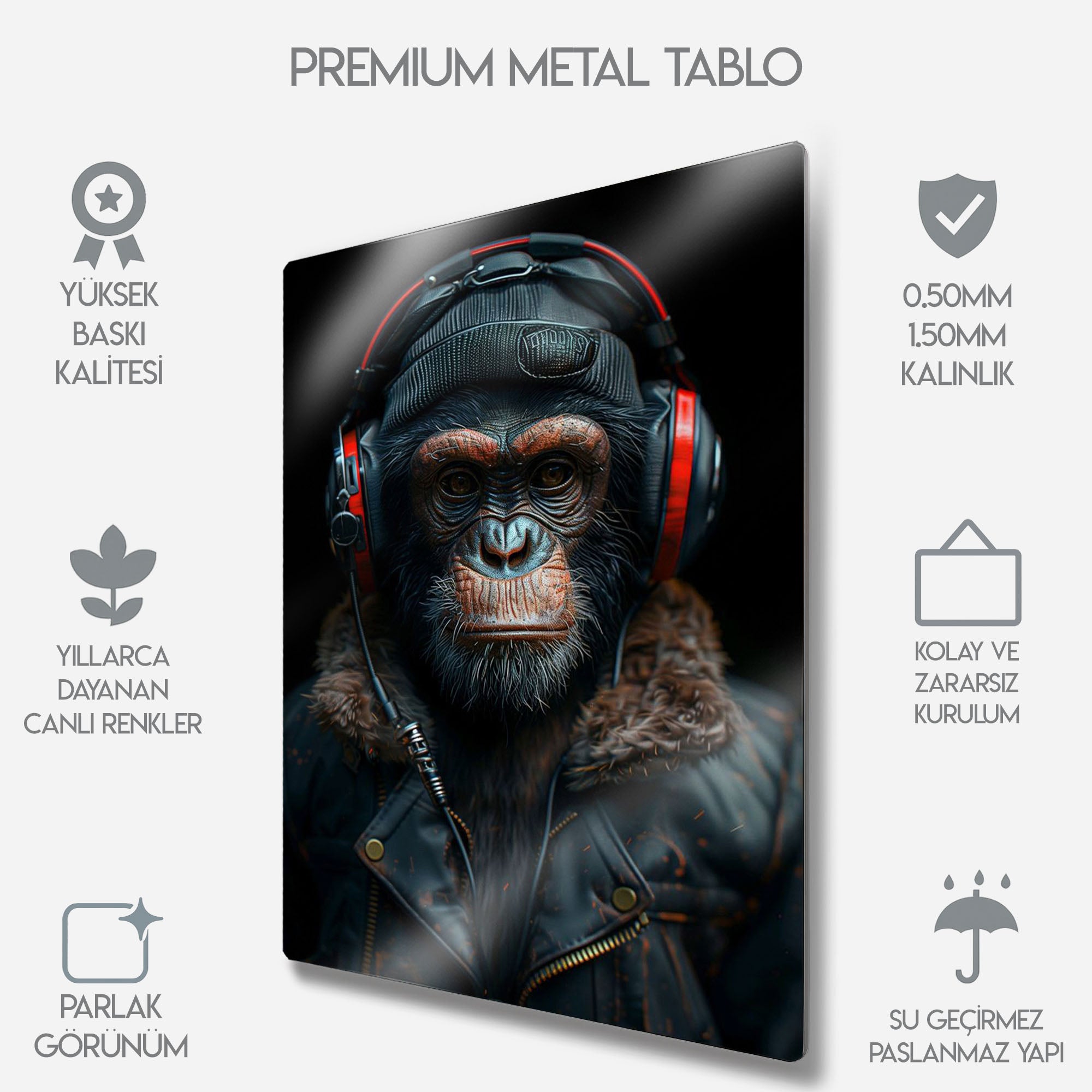 Müzik Dinleyen Şempanze - Metal Tablo