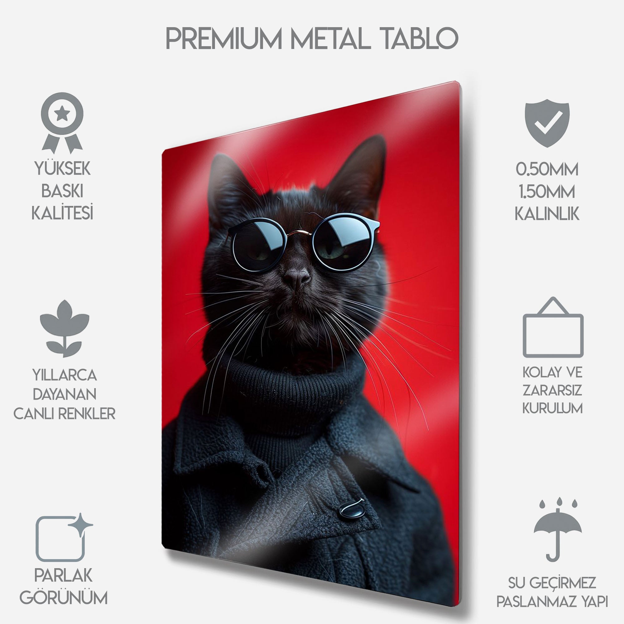 Stil Sahibi Siyah Kedi - Metal Tablo