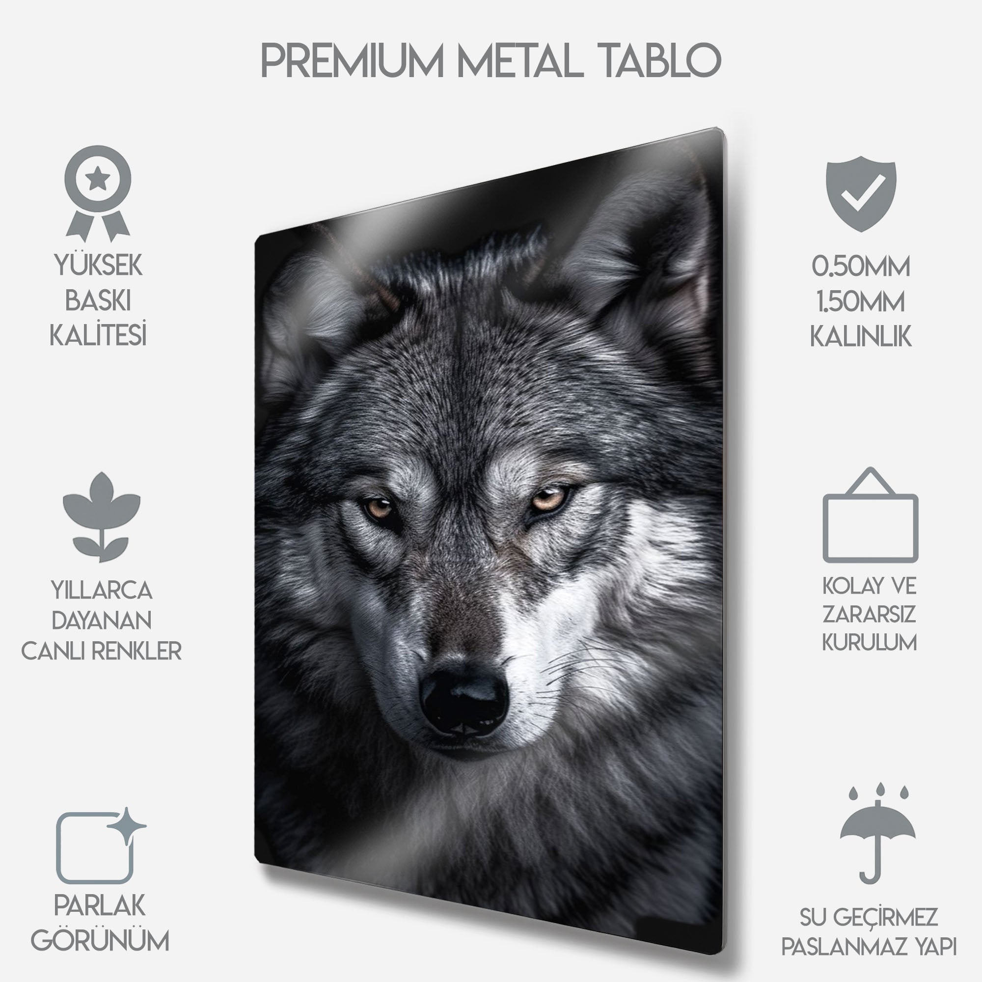 Asil Kurt Portresi - Metal Tablo