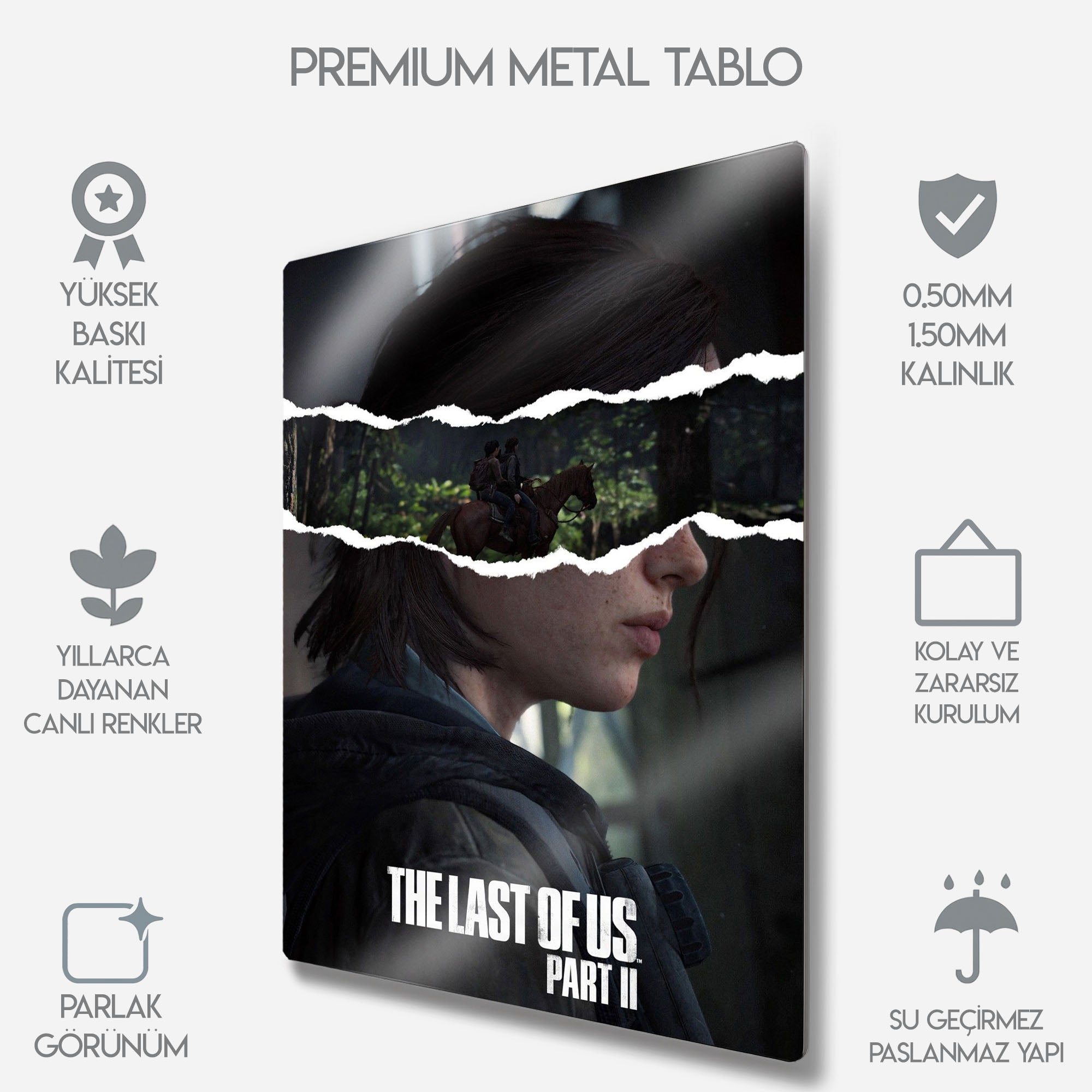 The Last of Us Part II Sanatsal - Metal Tablo
