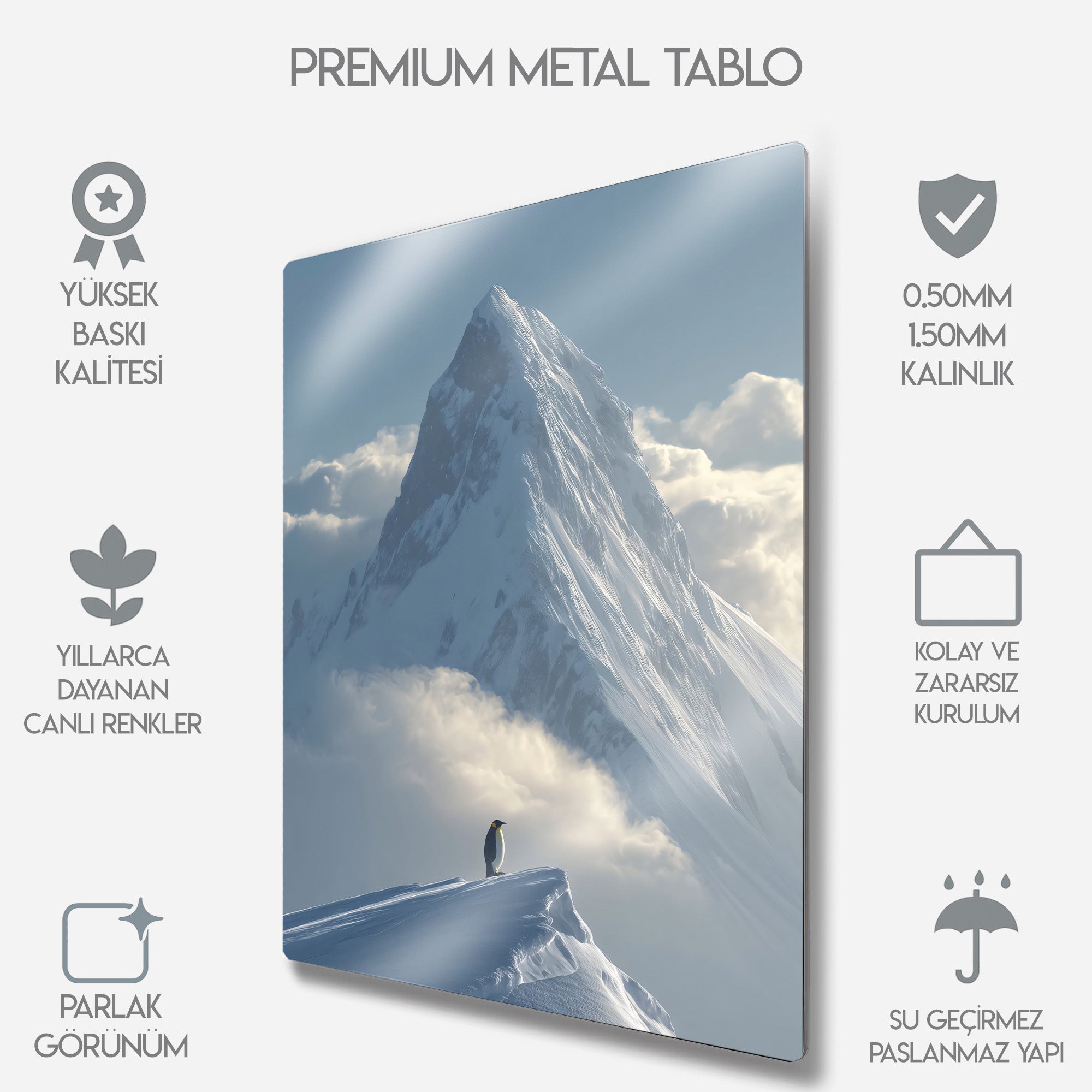 But Why, Nihilist Penguen, Penguin Motivasyon - Metal Tablo