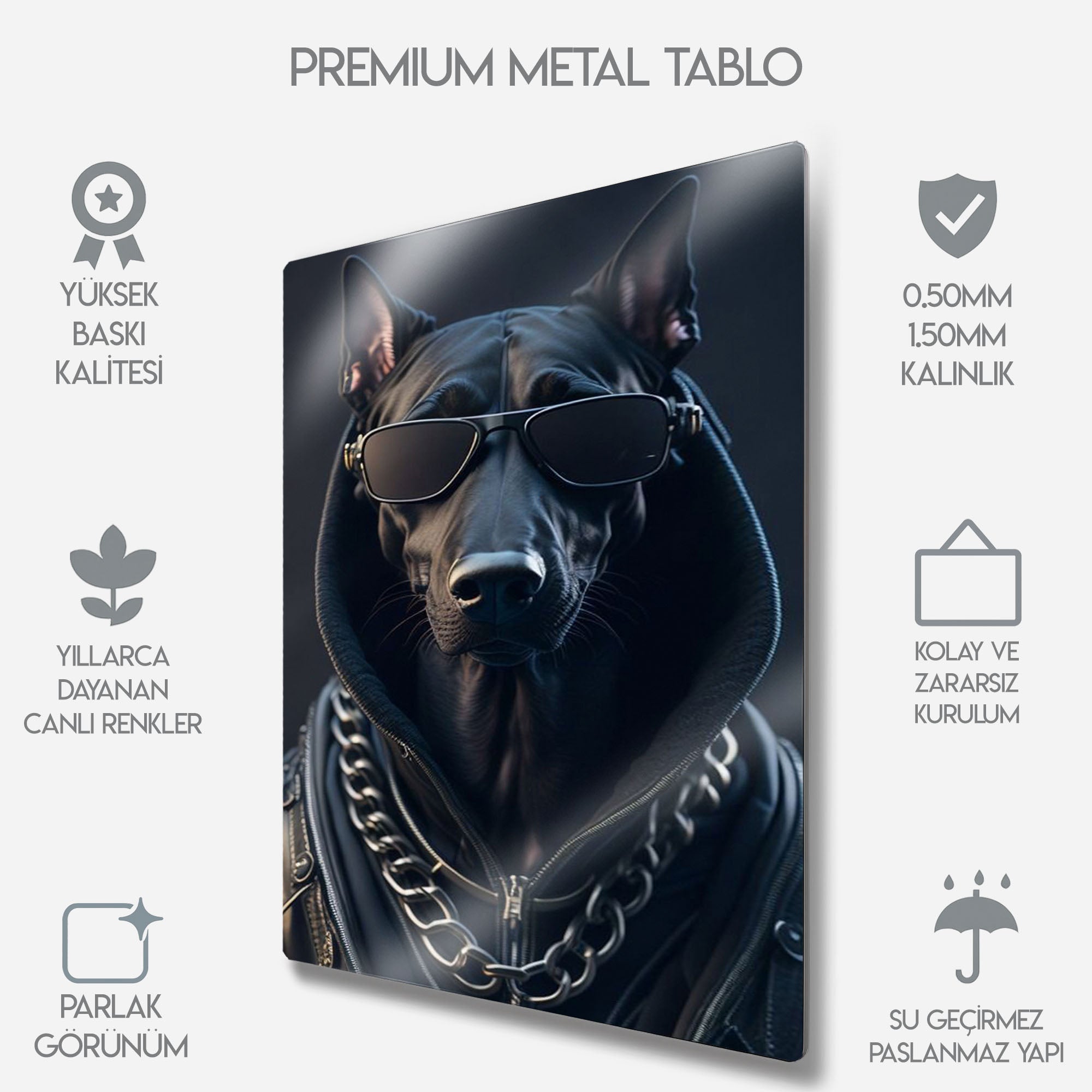 Sokak Stili Havalı Köpek - Metal Tablo