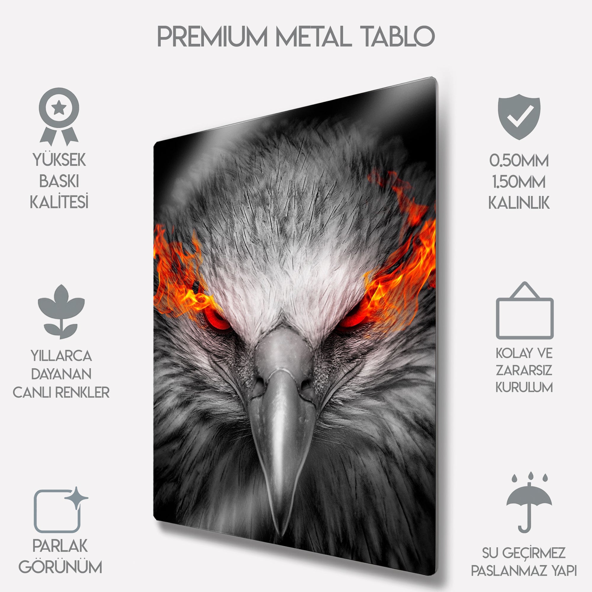 Alevli Kartal Modern Tasarım - Metal Tablo