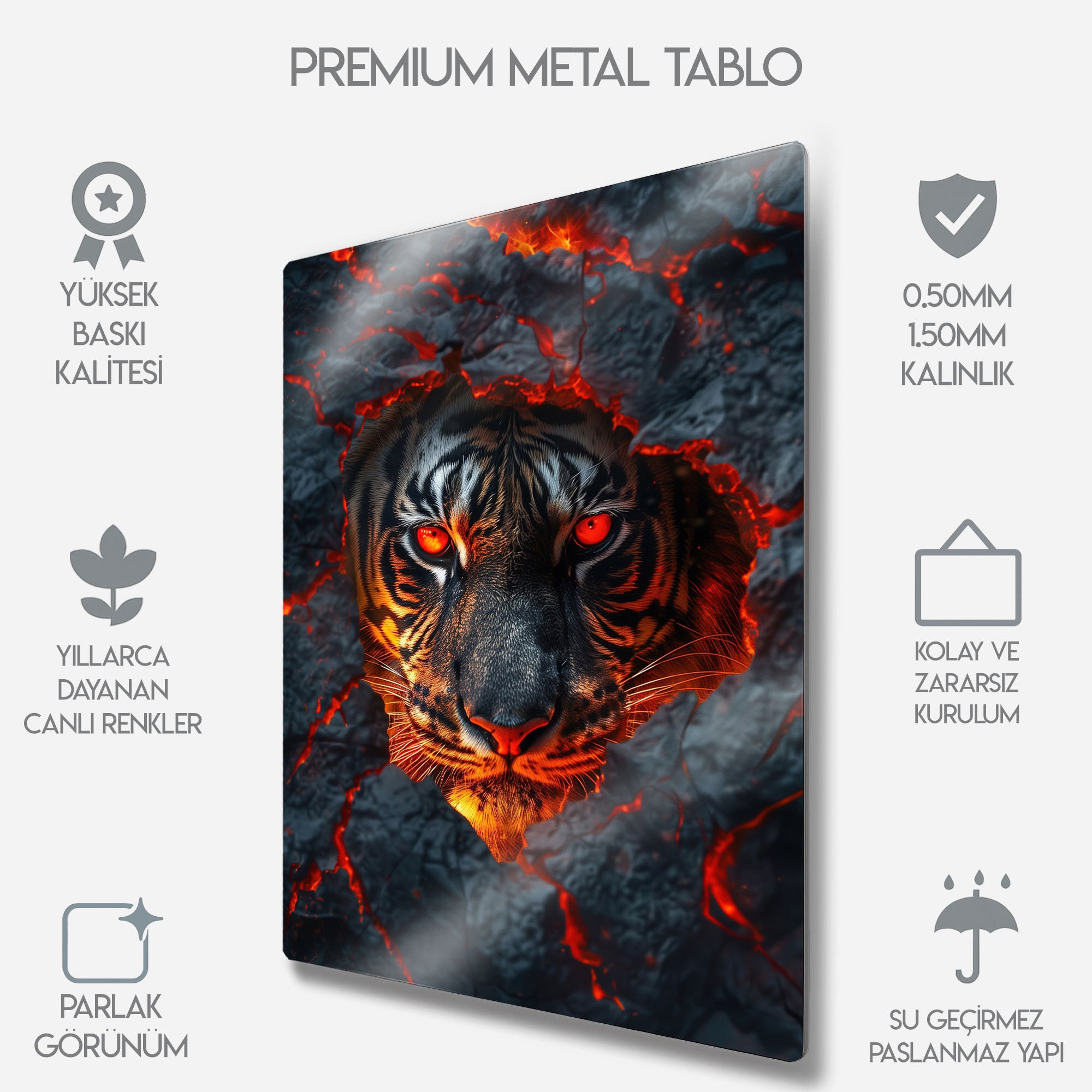Ateş Gözlü Kaplan - Metal Tablo