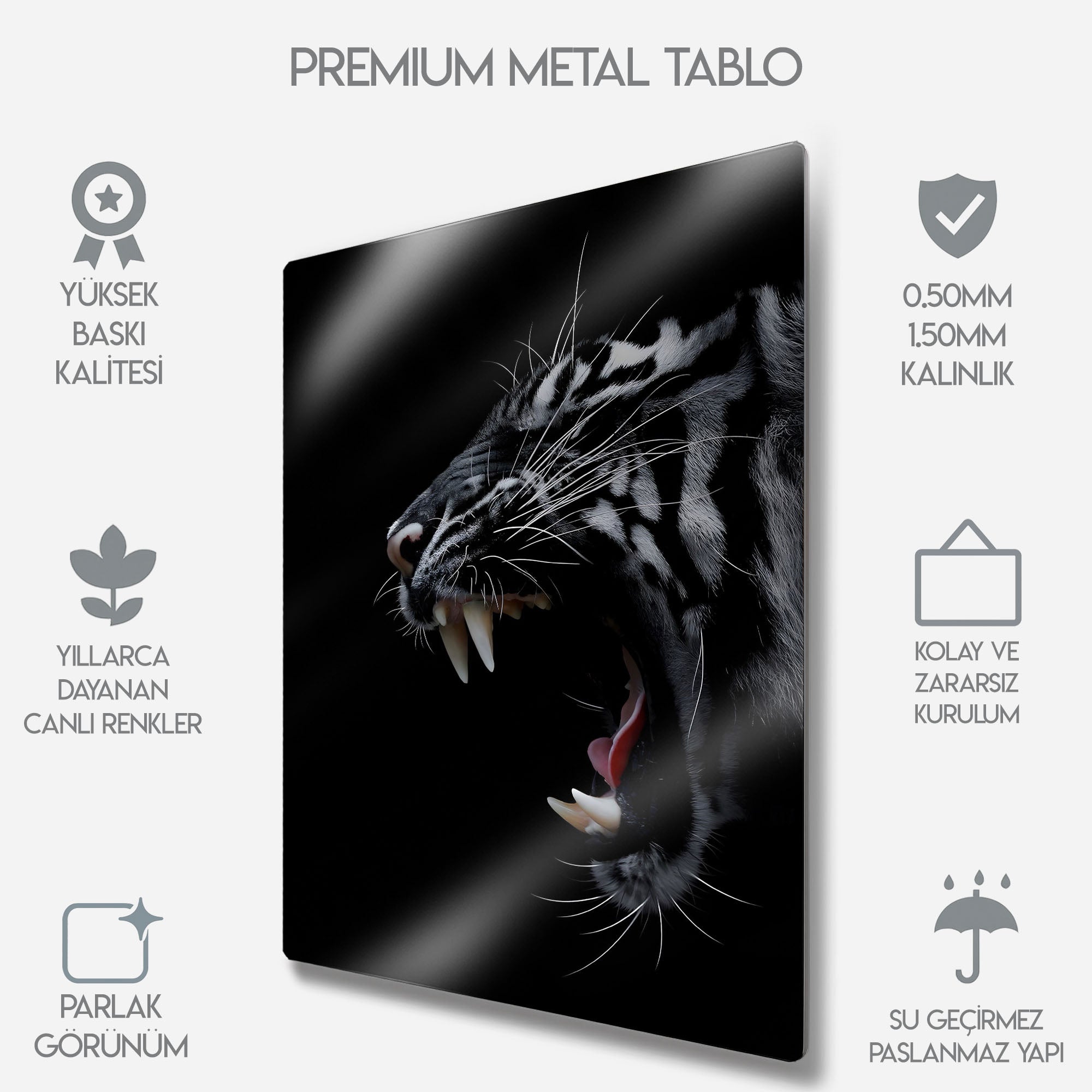 Kükreyen Kaplan Siyah Beyaz - Metal Tablo