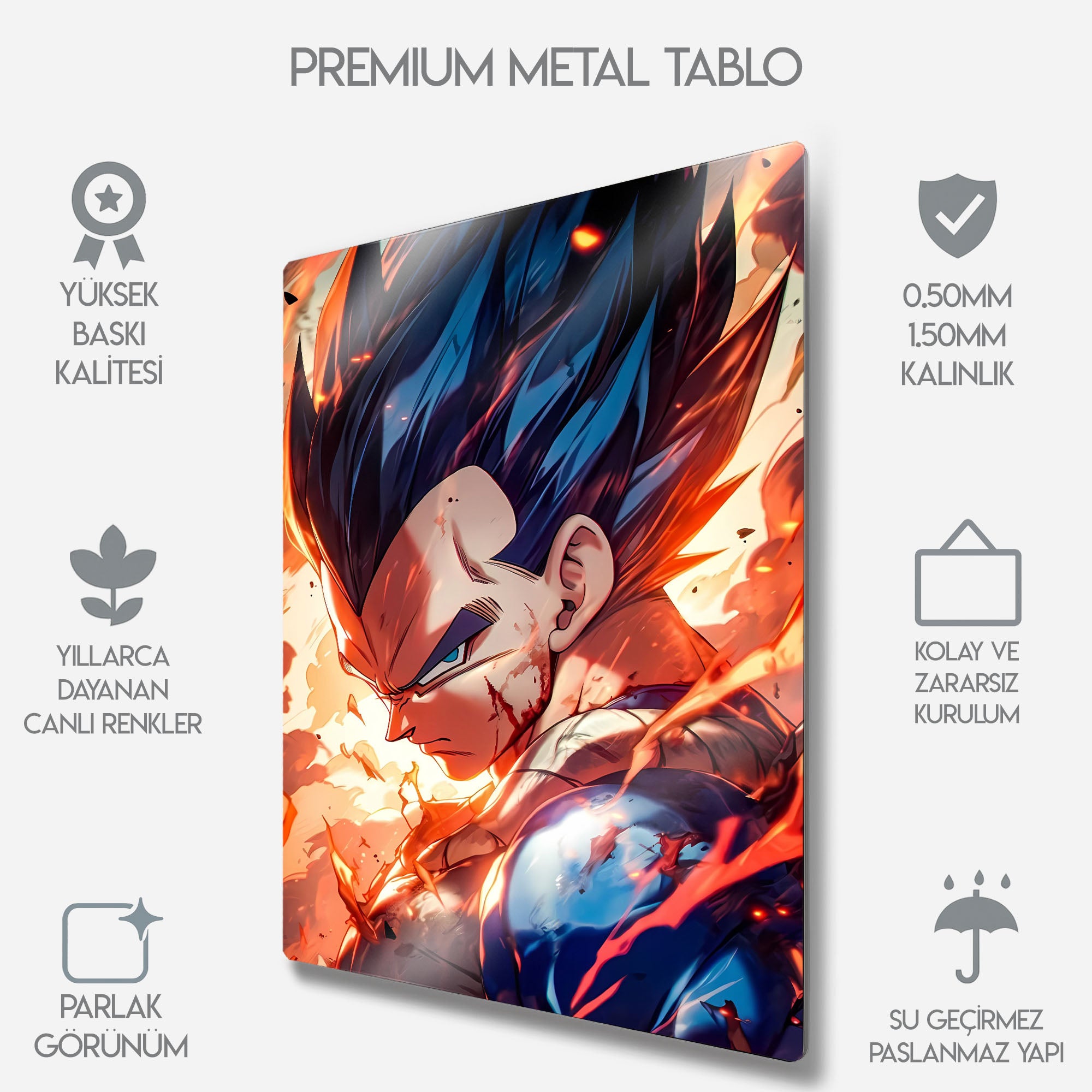 Dragon Ball Z Vegeta Ultra Ego - Metal Tablo