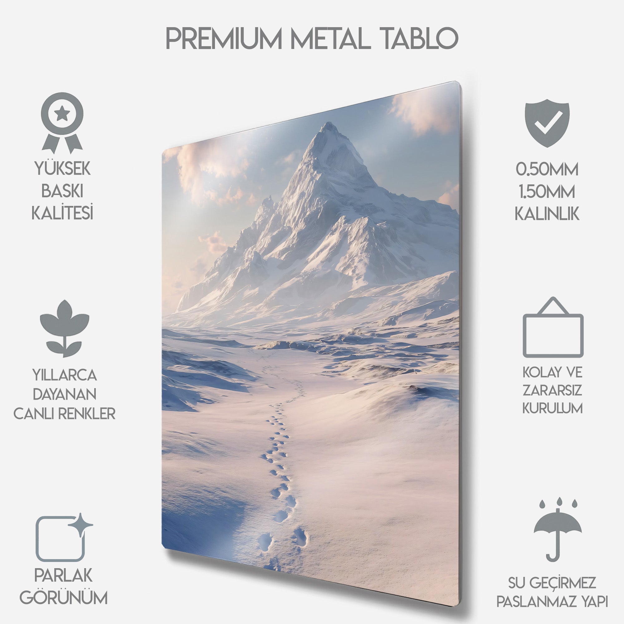 But Why, Nihilist Penguen, Penguin Motivasyon - Metal Tablo