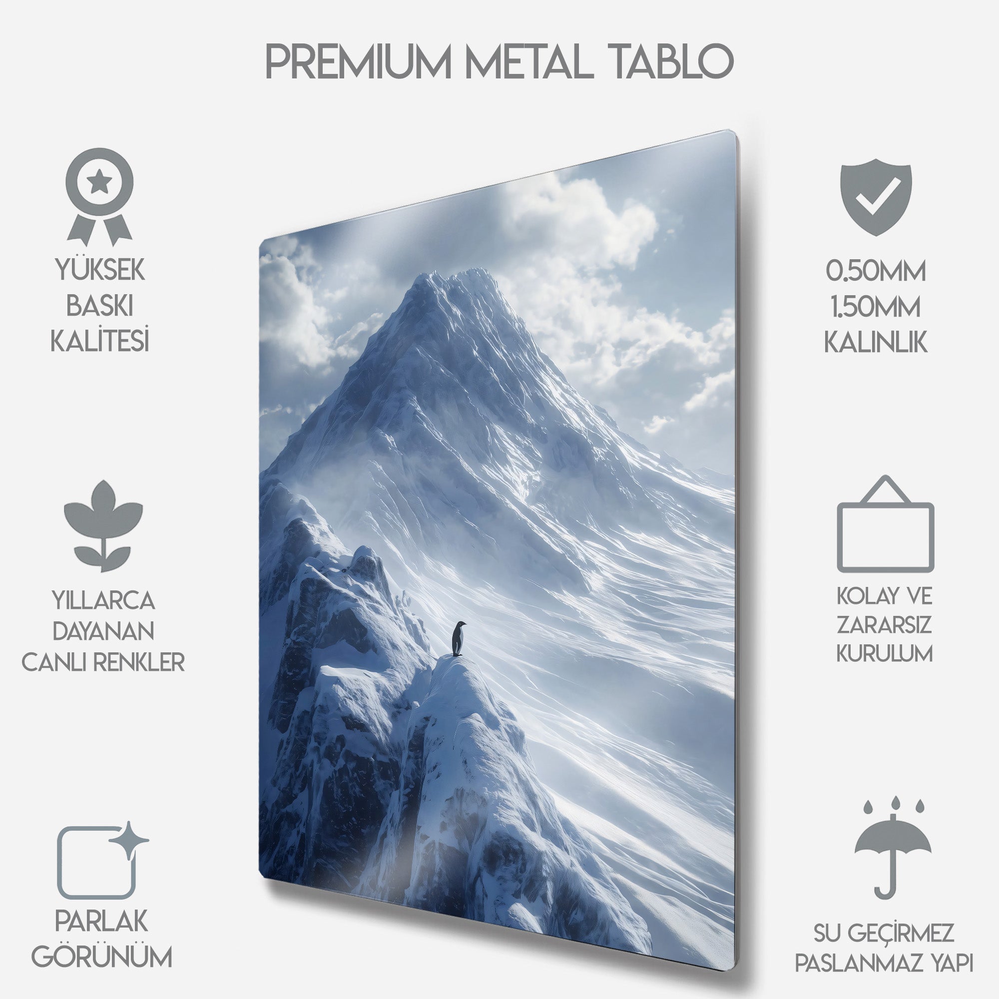 But Why, Nihilist Penguen, Penguin Motivasyon - Metal Tablo