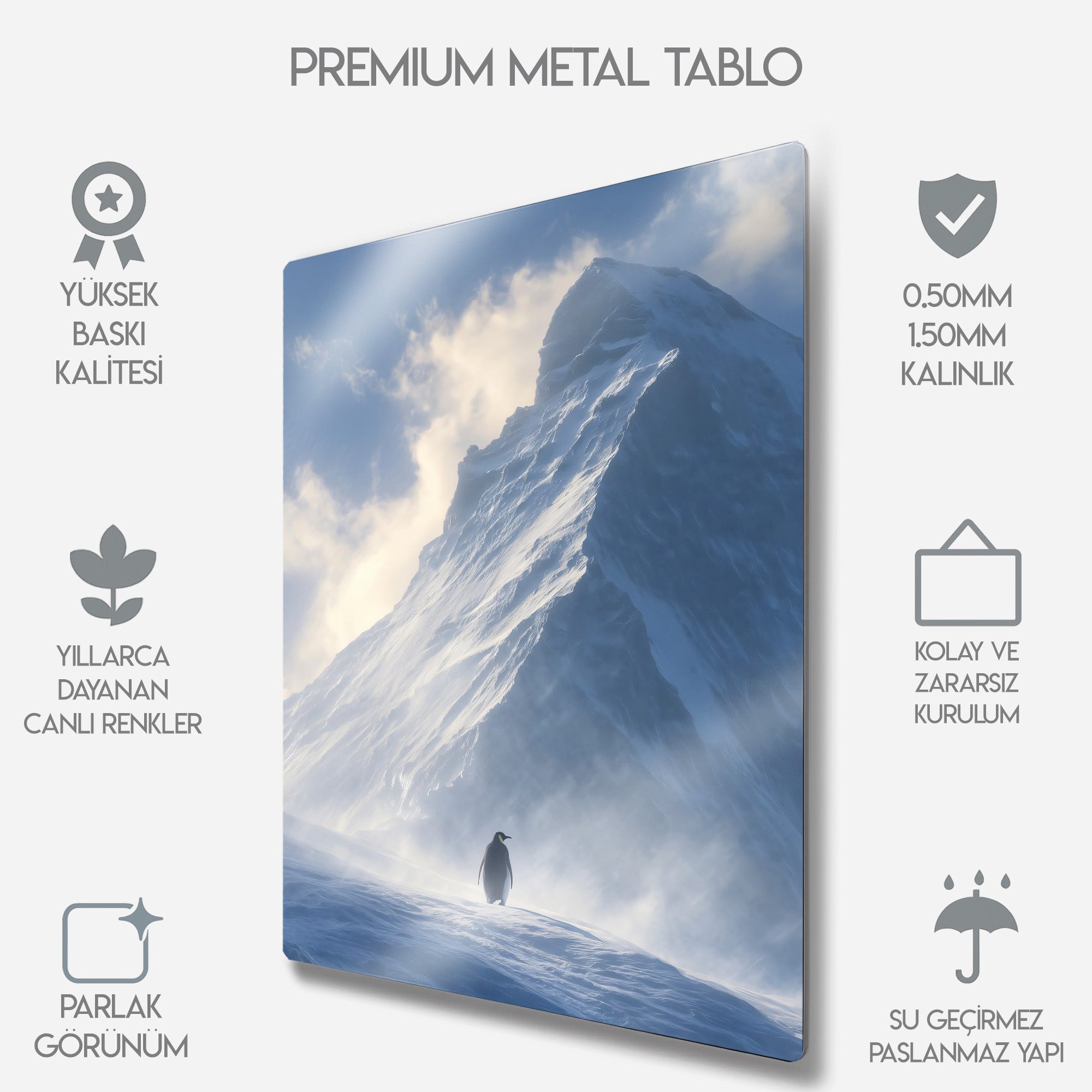 But Why, Nihilist Penguen, Penguin Motivasyon - Metal Tablo