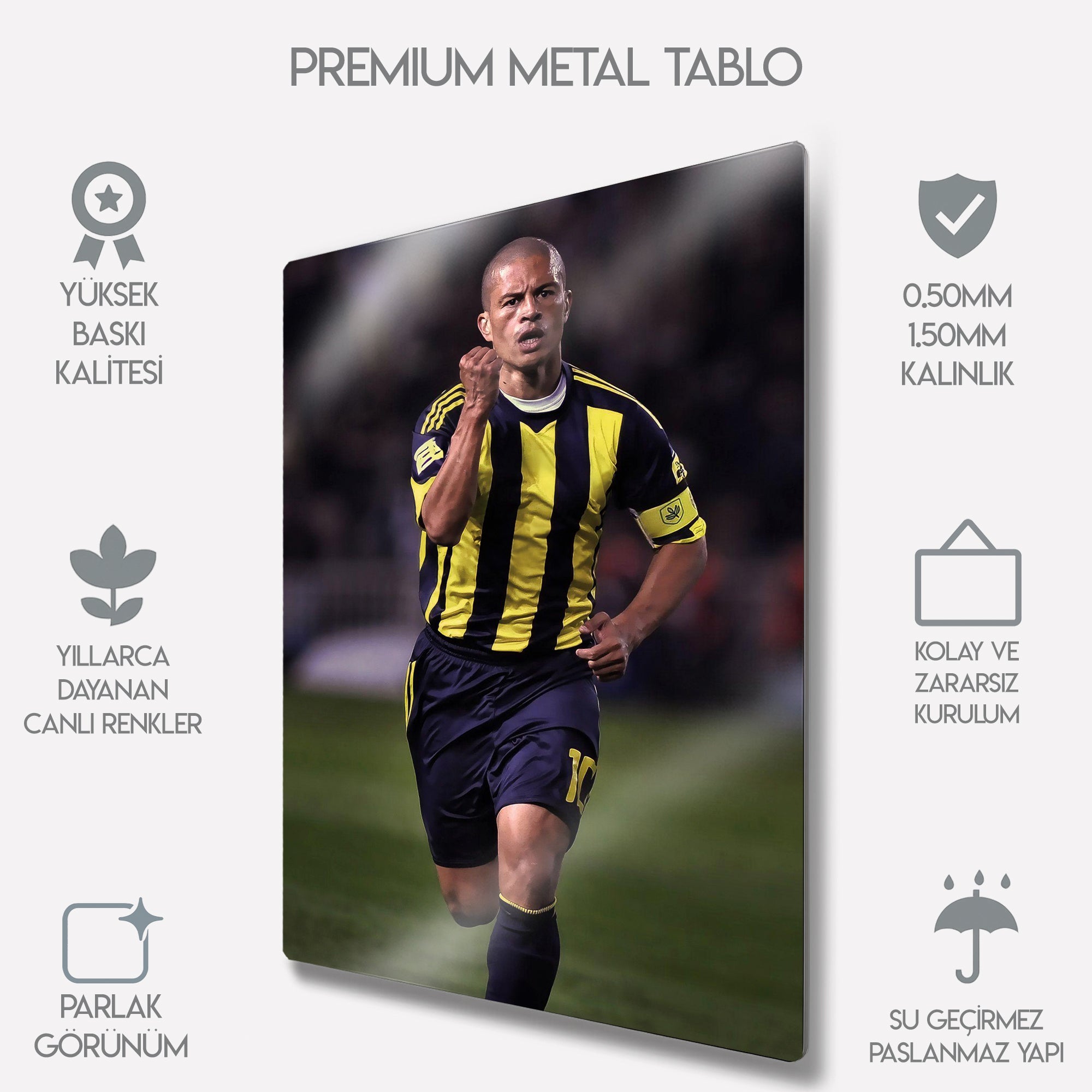 Alex de Souza Tablosu Fenerbahçe Efsane 10 Numara - Metal Tablo