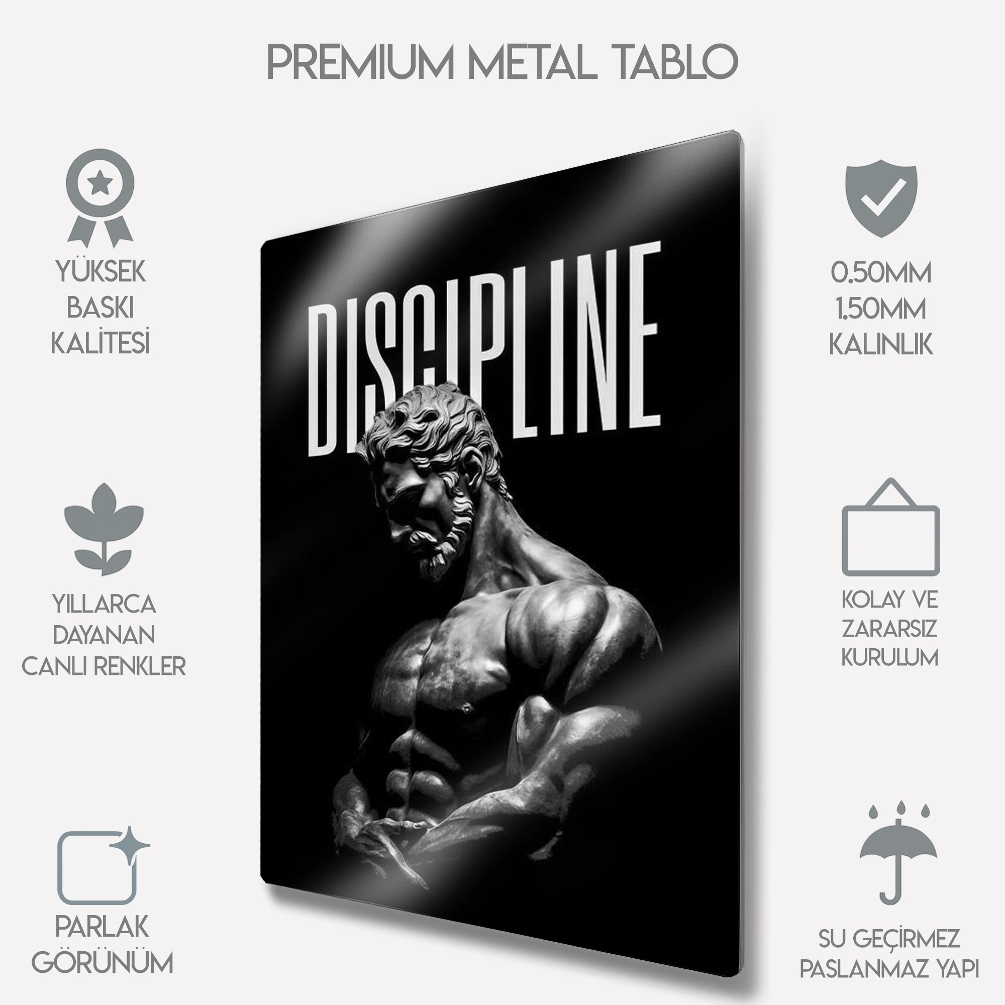 Discipline Heykel Figürlü Motivasyon - Metal Tablo