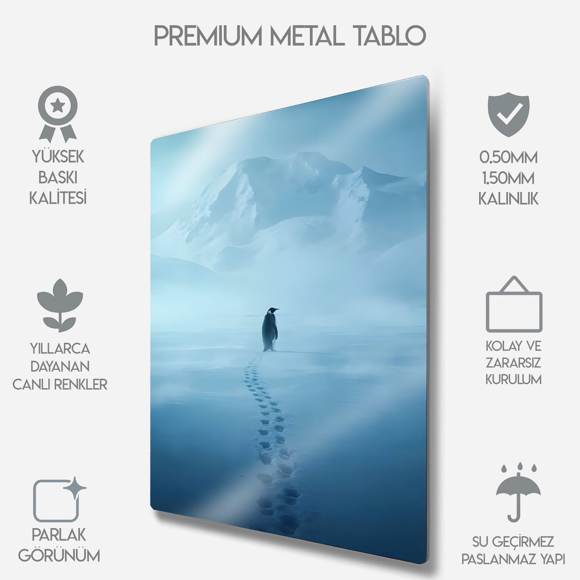 But Why, Nihilist Penguen, Penguin Motivasyon - Metal Tablo