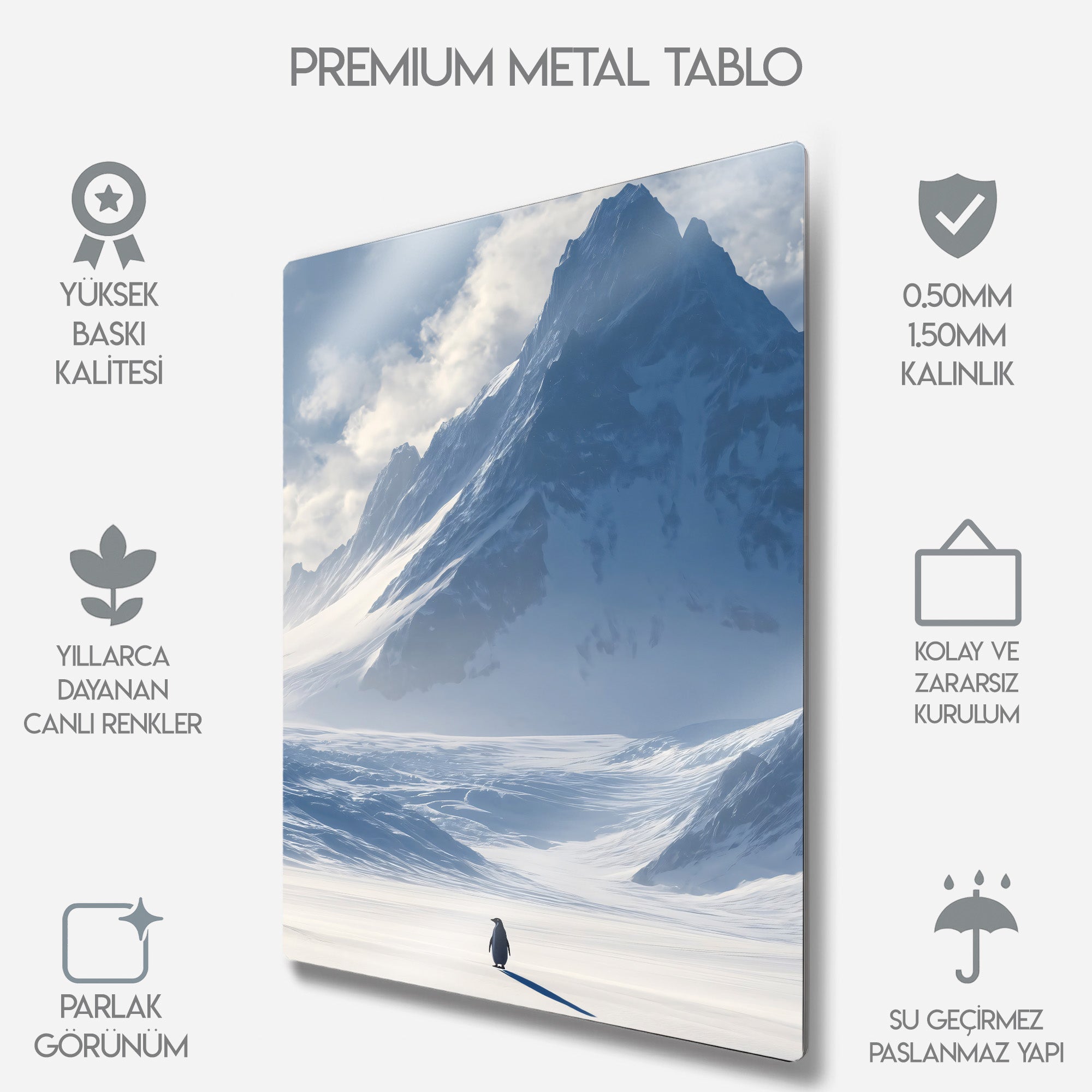 But Why, Nihilist Penguen, Penguin Motivasyon - Metal Tablo