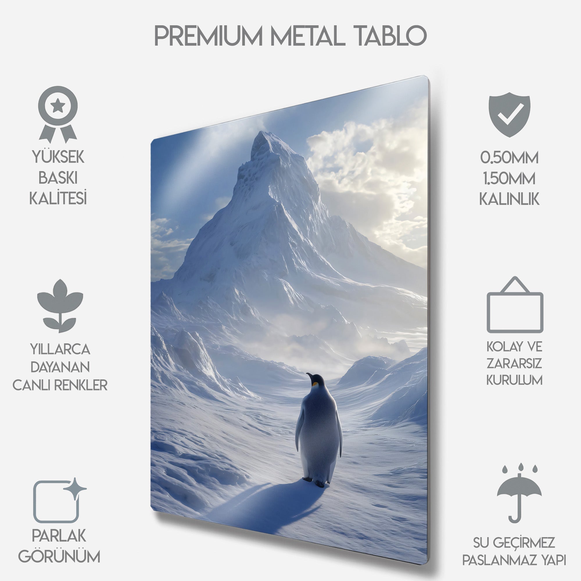 But Why, Nihilist Penguen, Penguin Motivasyon - Metal Tablo