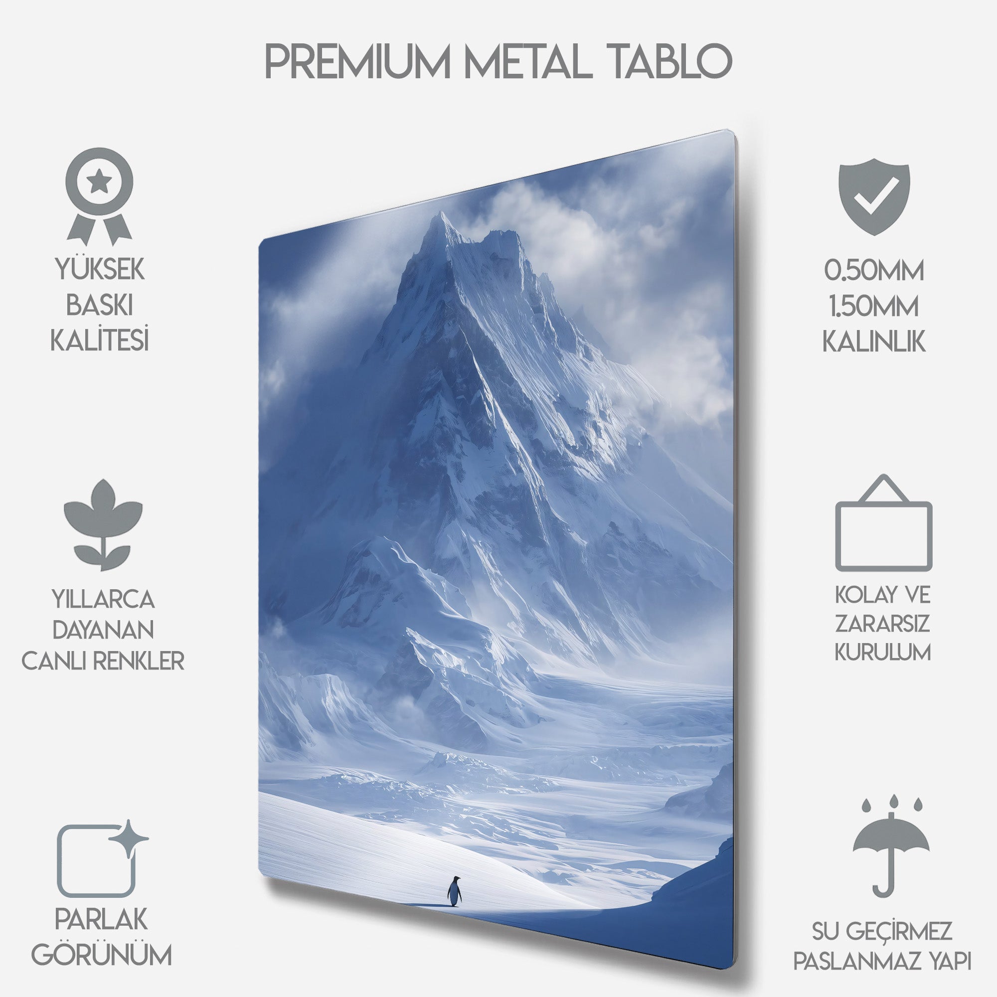 But Why, Nihilist Penguen, Penguin Motivasyon - Metal Tablo