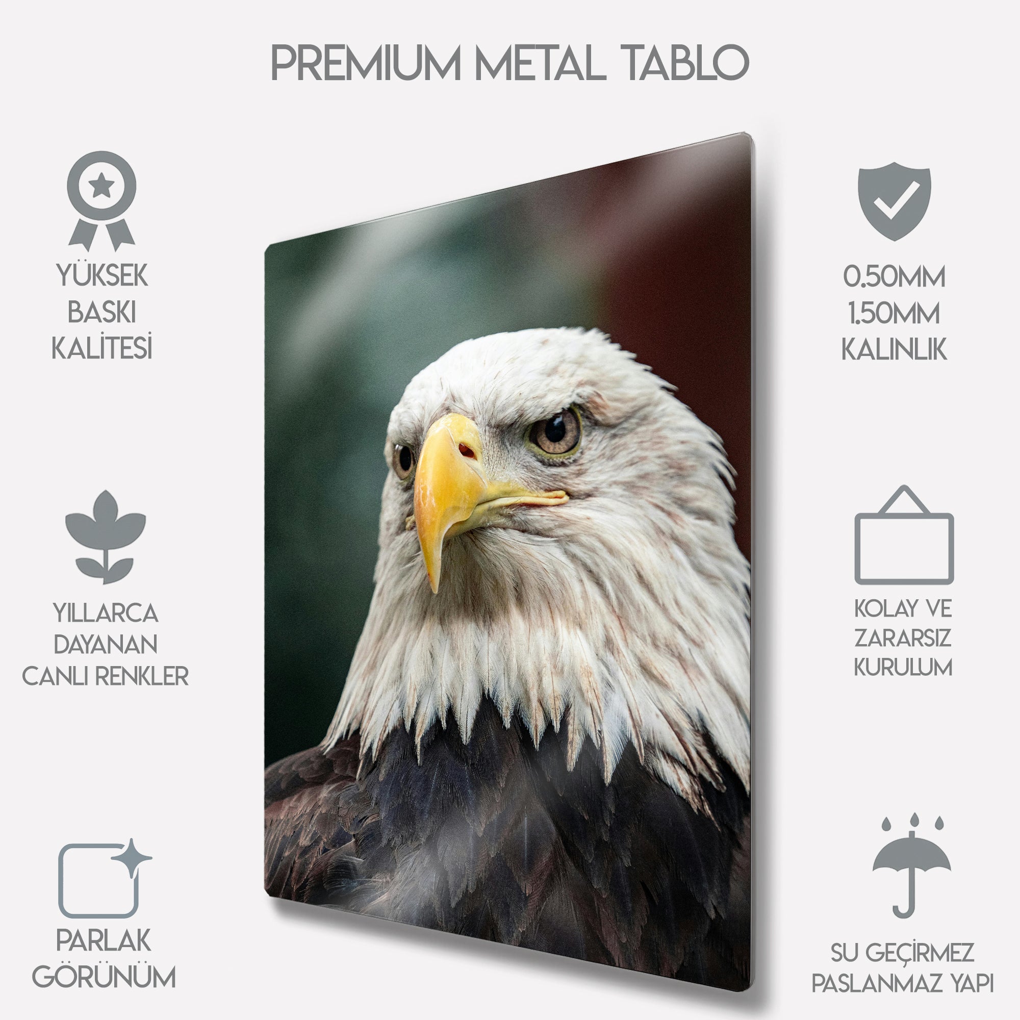 Kartal Portresi Doğa Temalı - Metal Tablo