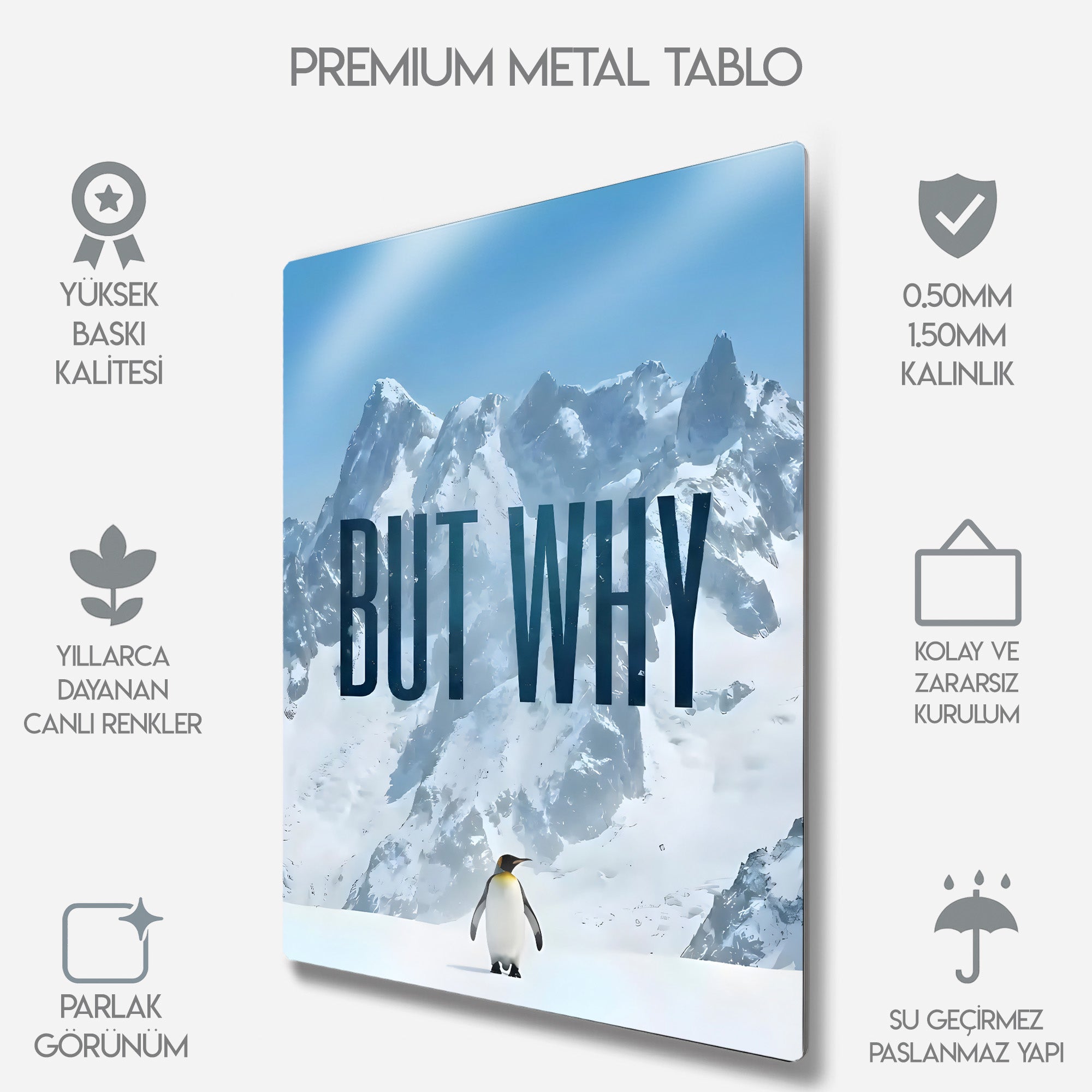But Why, Nihilist Penguen, Penguin Motivasyon - Metal Tablo