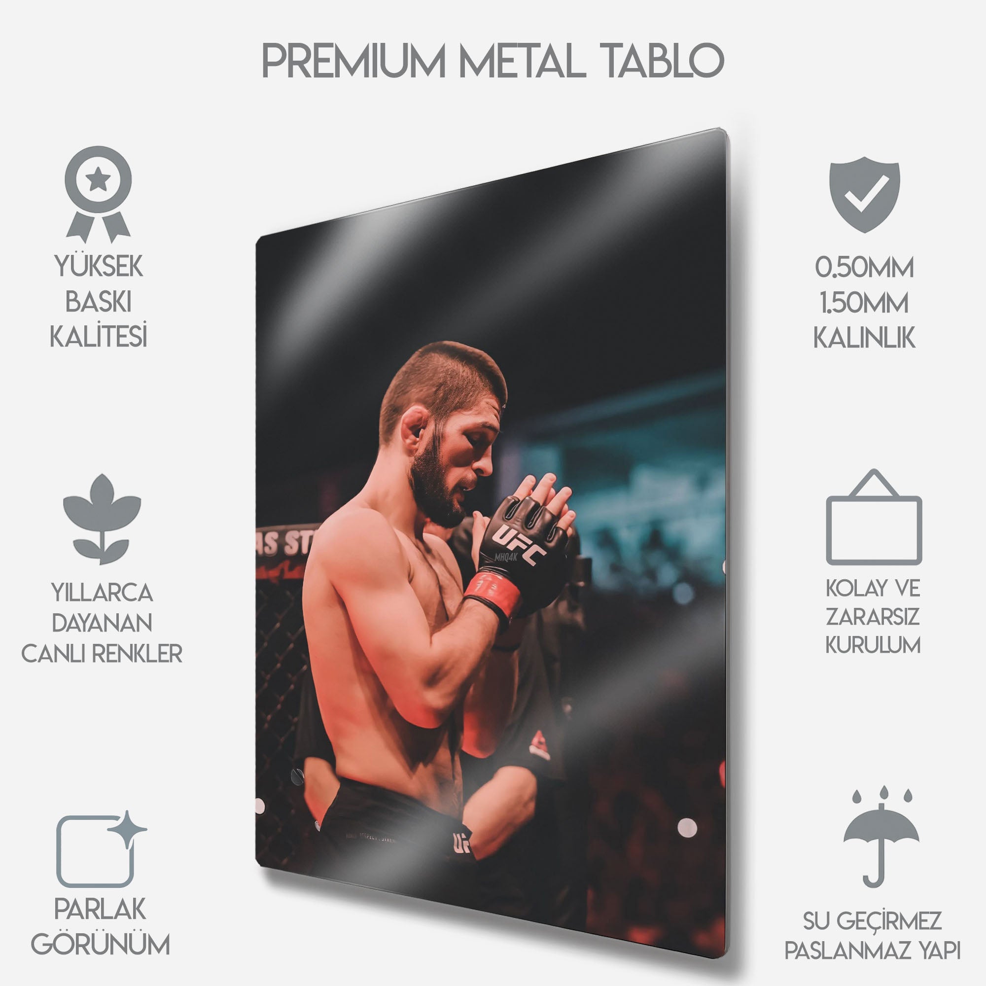 UFC Khabib Nurmagomedov MMA - Metal Tablo