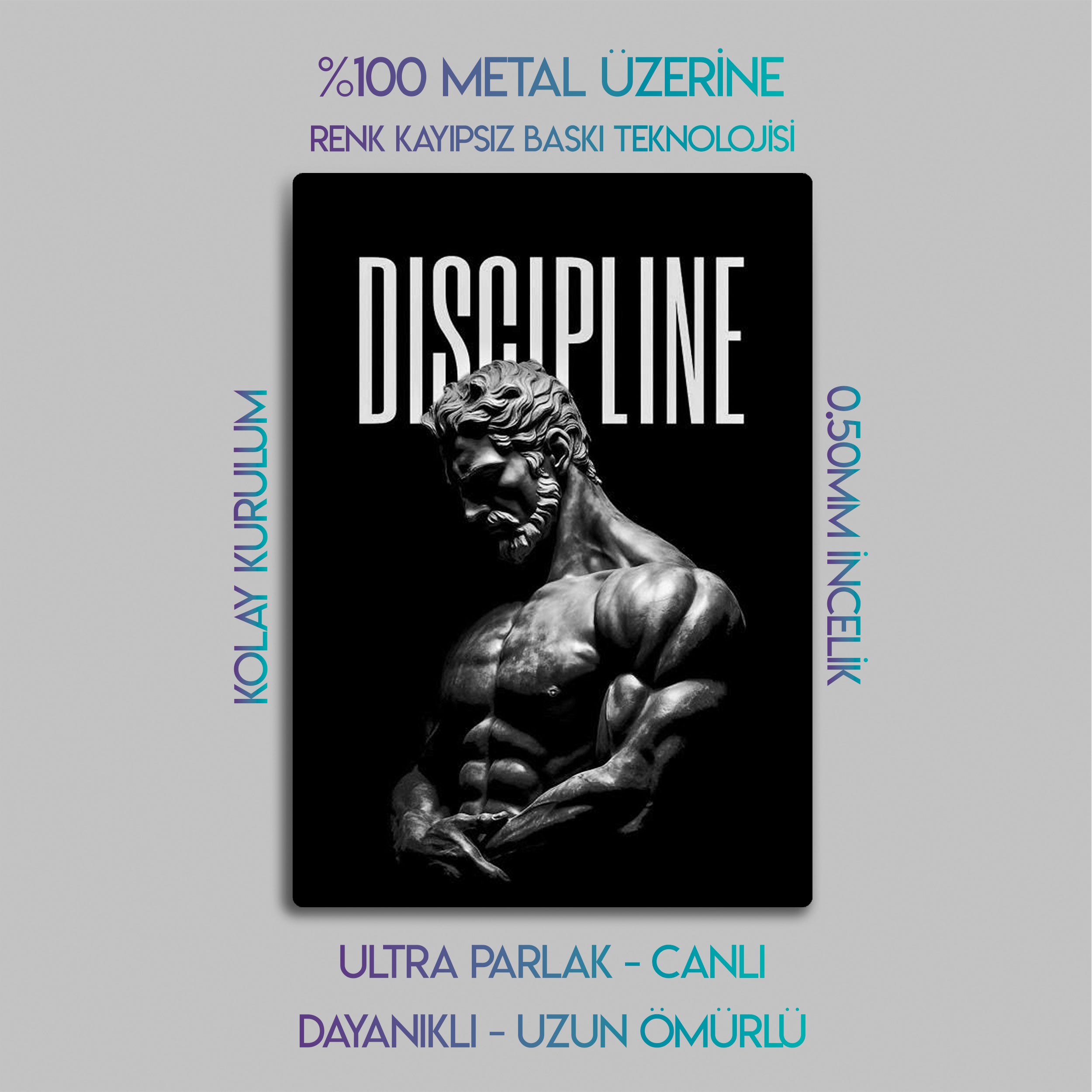 Discipline, Fitness Motivasyon - Metal Tablo